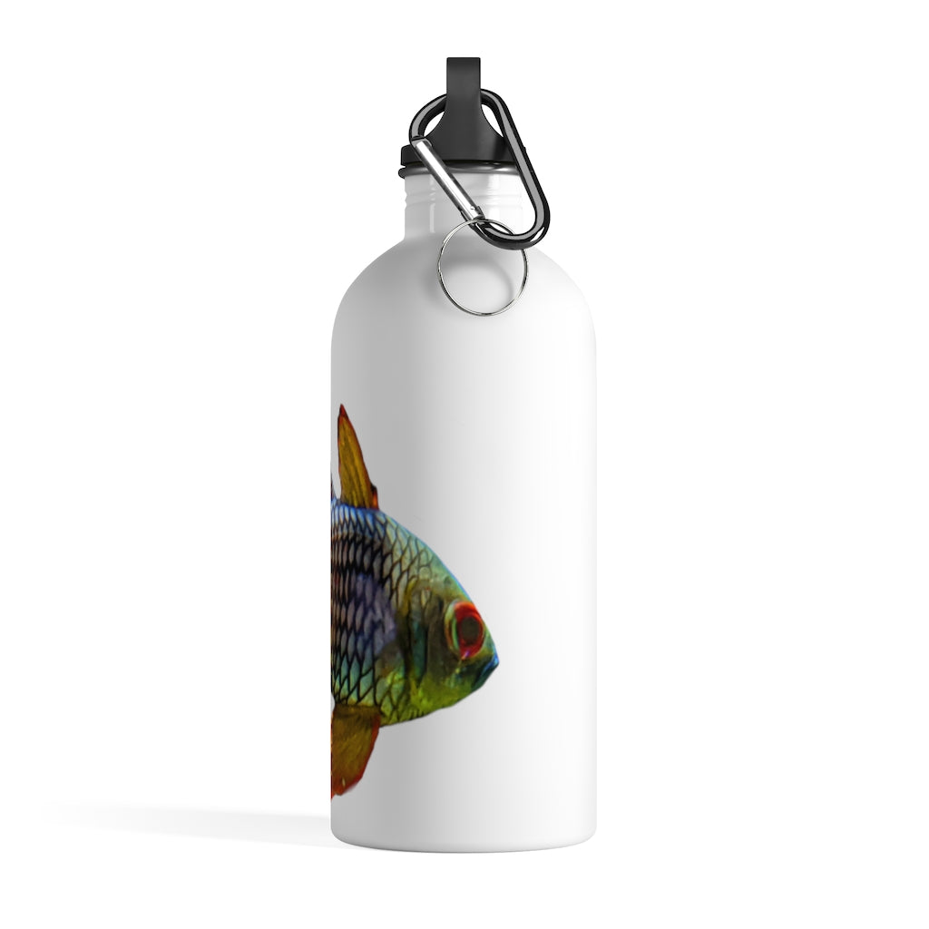 Colored Fish Stainless Steel Water Bottle with vibrant fish design and plastic screw top, ideal for hydration on the go.