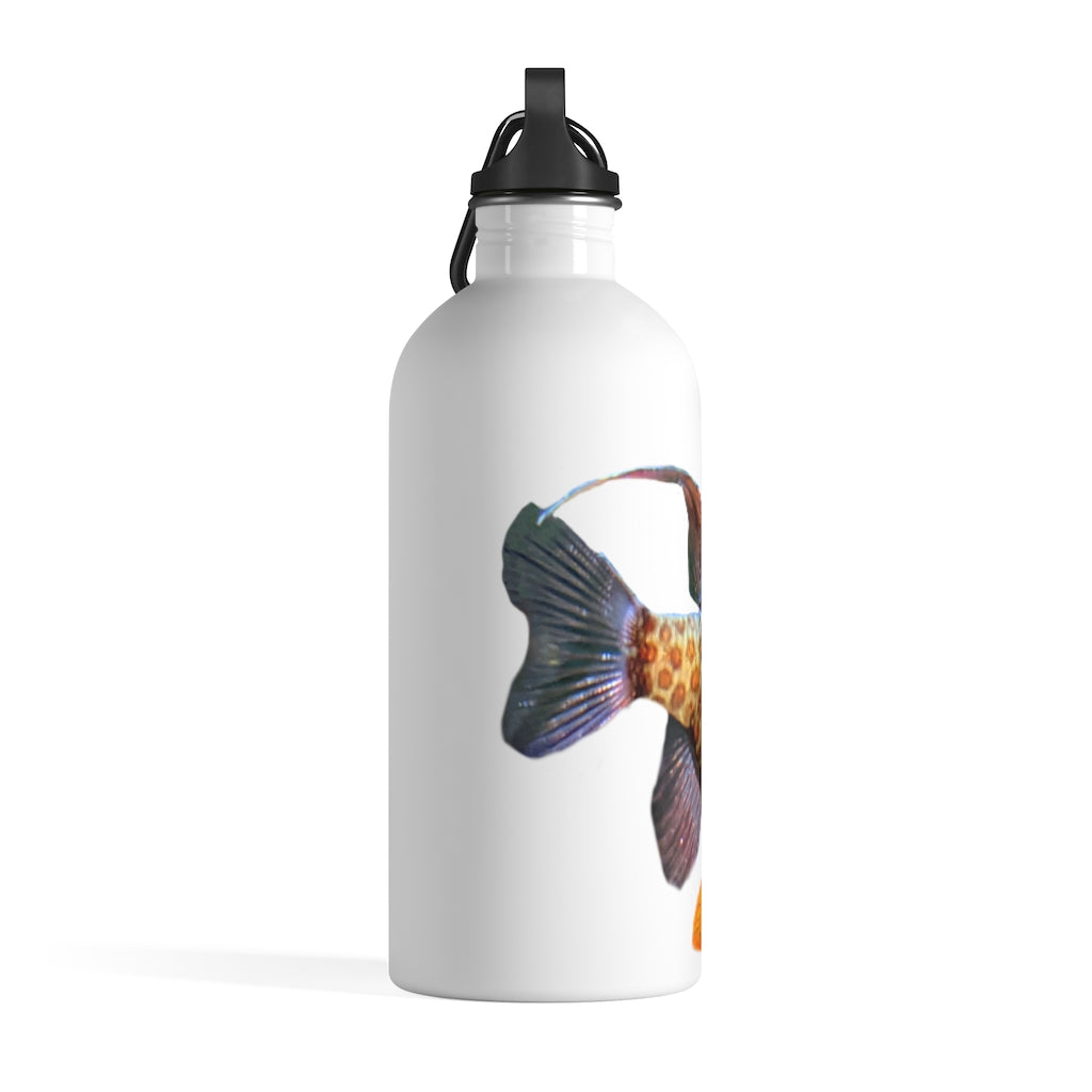 Colored Fish Stainless Steel Water Bottle with vibrant fish design and plastic screw top, ideal for hydration on the go.