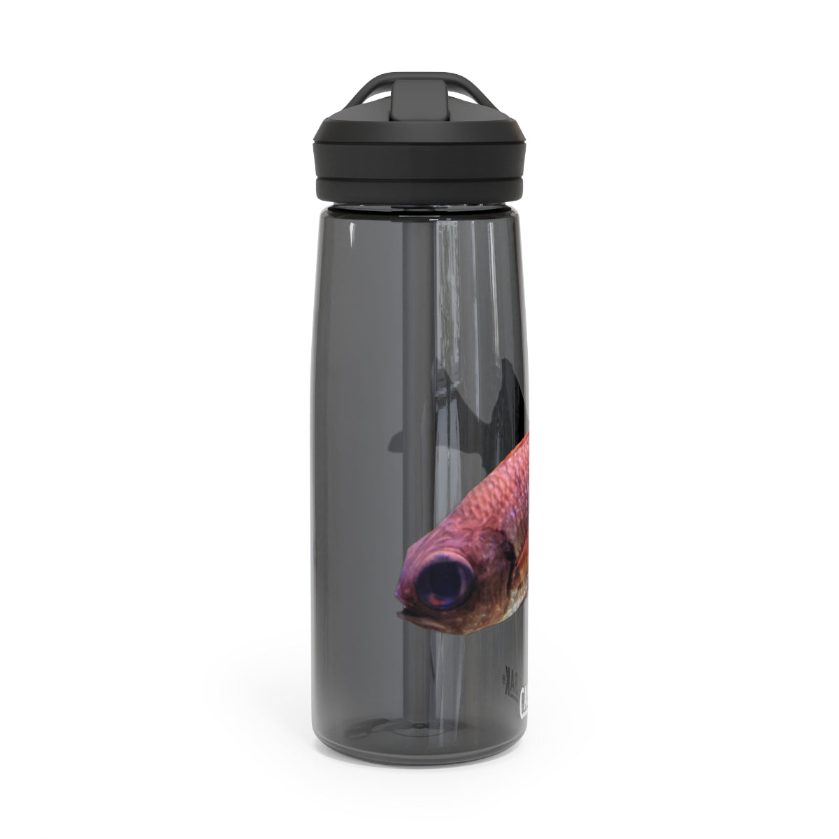 Colorful Fish CamelBak Eddy® Water Bottle in vibrant colors, showcasing its durable design and easy-carry handle.