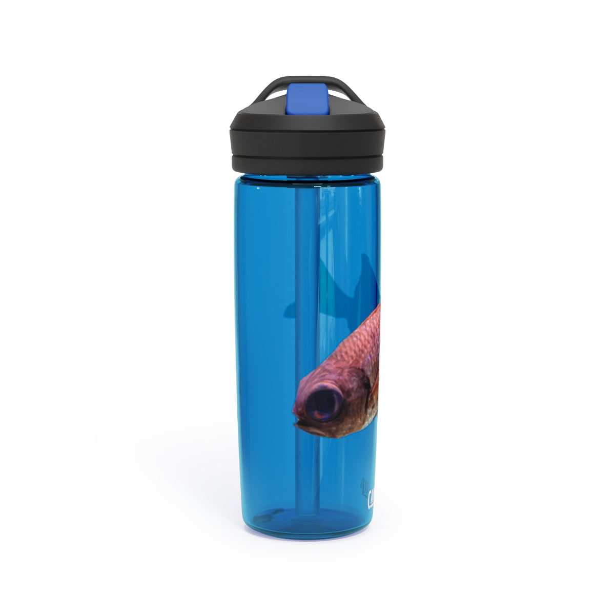 Colorful Fish CamelBak Eddy® Water Bottle in vibrant colors, showcasing its durable design and easy-carry handle.