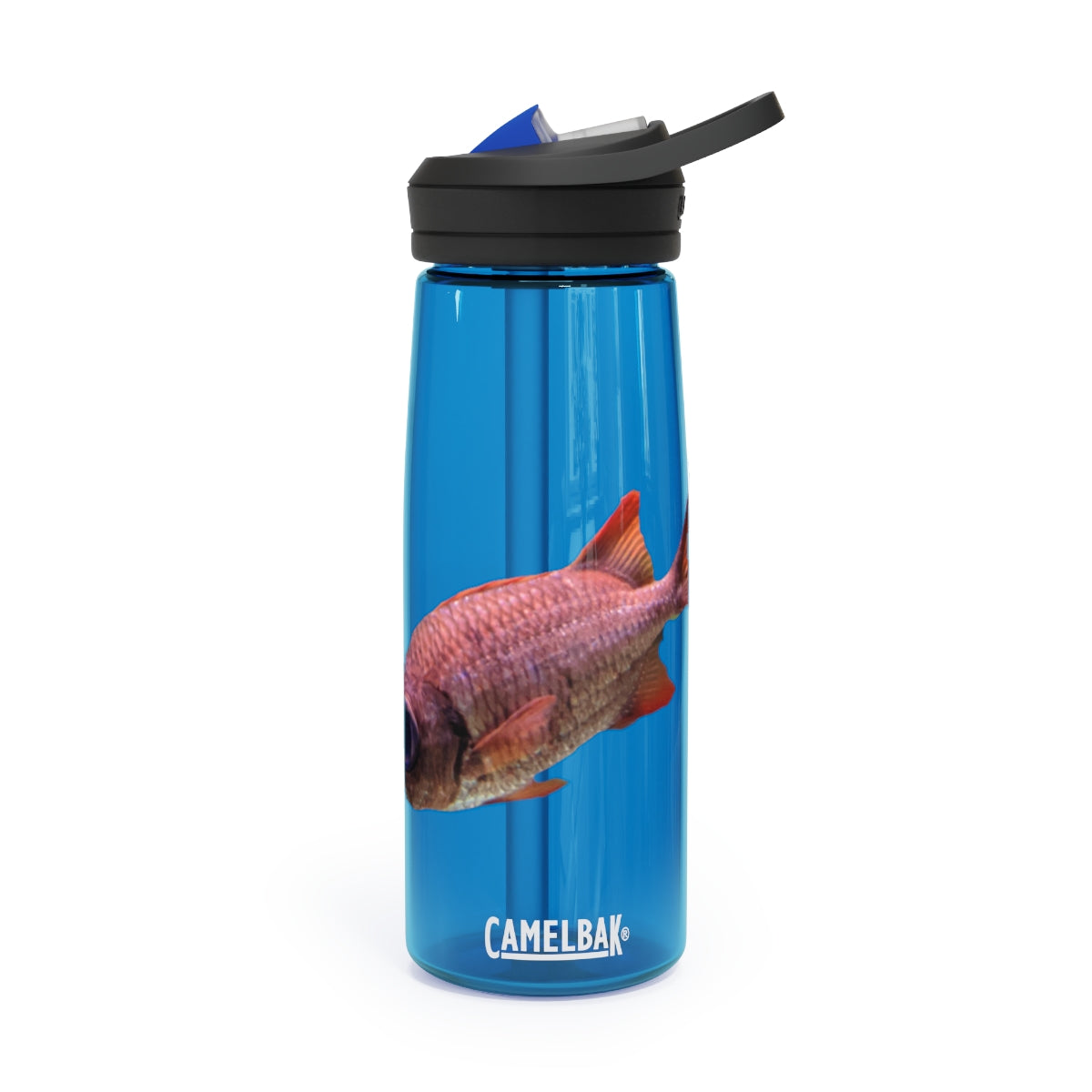 Colorful Fish CamelBak Eddy® Water Bottle in vibrant colors, showcasing its durable design and easy-carry handle.