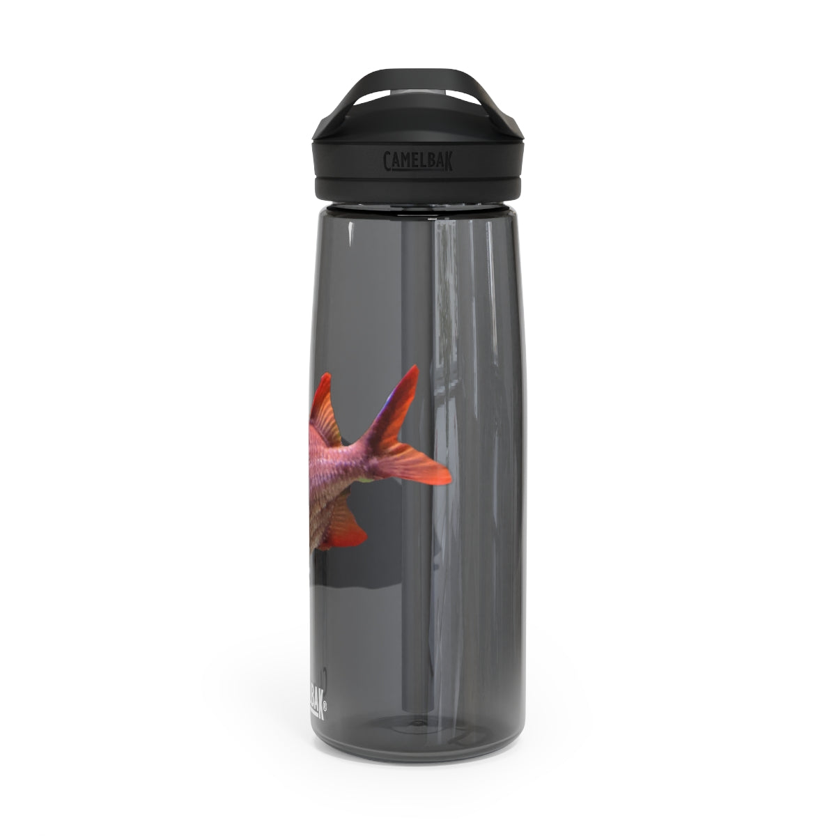 Colorful Fish CamelBak Eddy® Water Bottle in vibrant colors, showcasing its durable design and easy-carry handle.