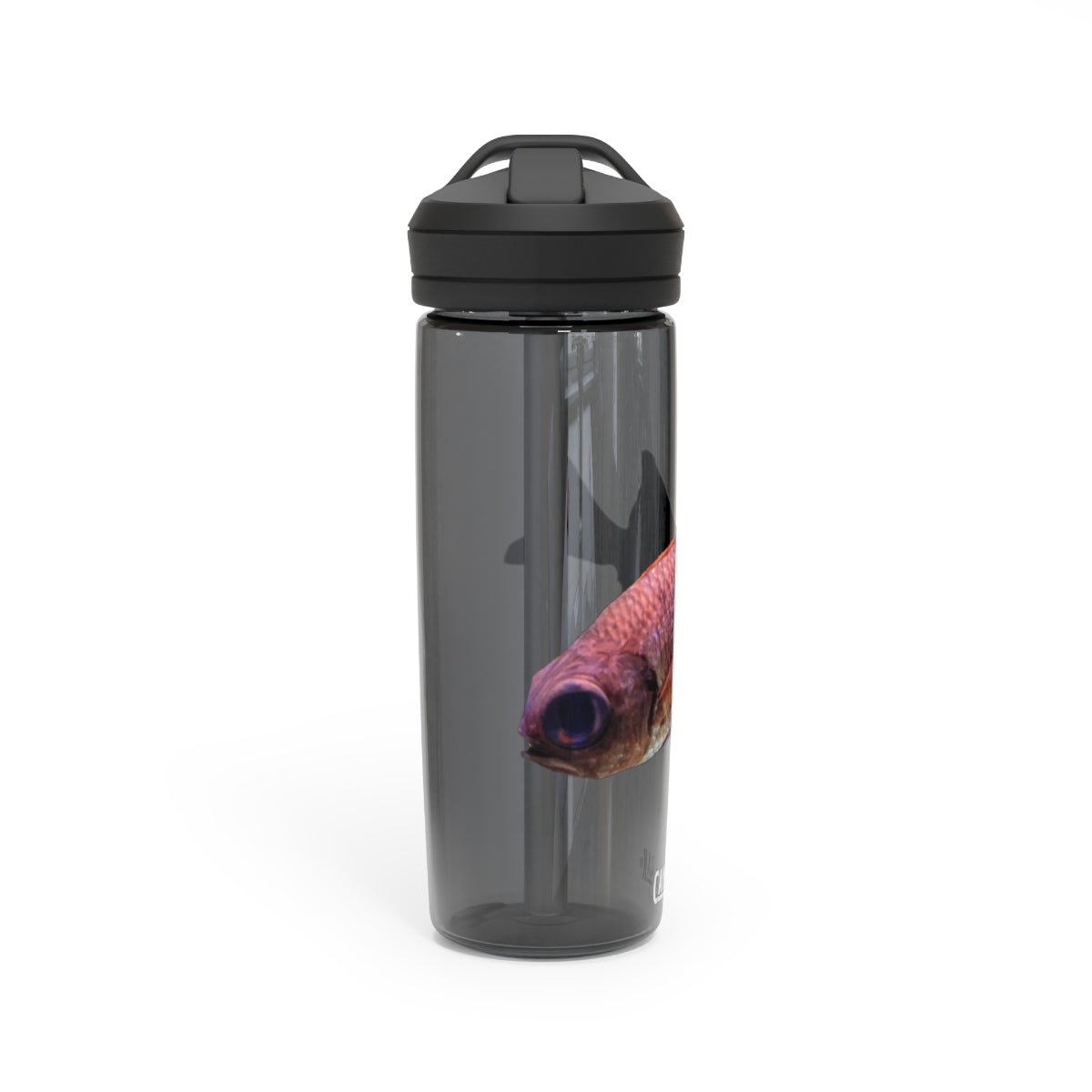 Colorful Fish CamelBak Eddy® Water Bottle in vibrant colors, showcasing its durable design and easy-carry handle.