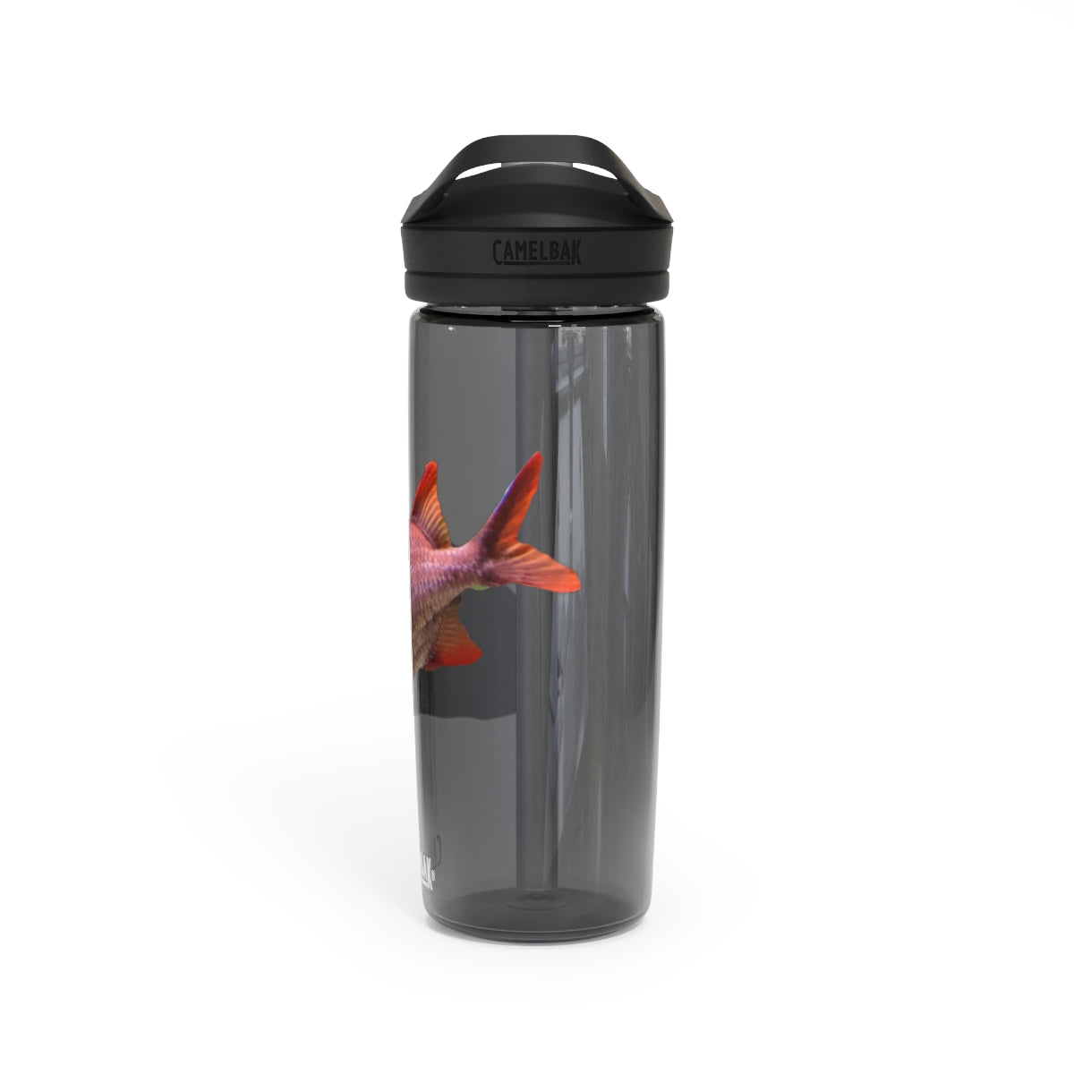 Colorful Fish CamelBak Eddy® Water Bottle in vibrant colors, showcasing its durable design and easy-carry handle.