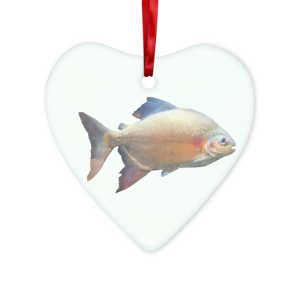 Colorful Fish Glass Hanging Ornament with red ribbon and gold string, available in round and heart shapes, beautifully packaged.