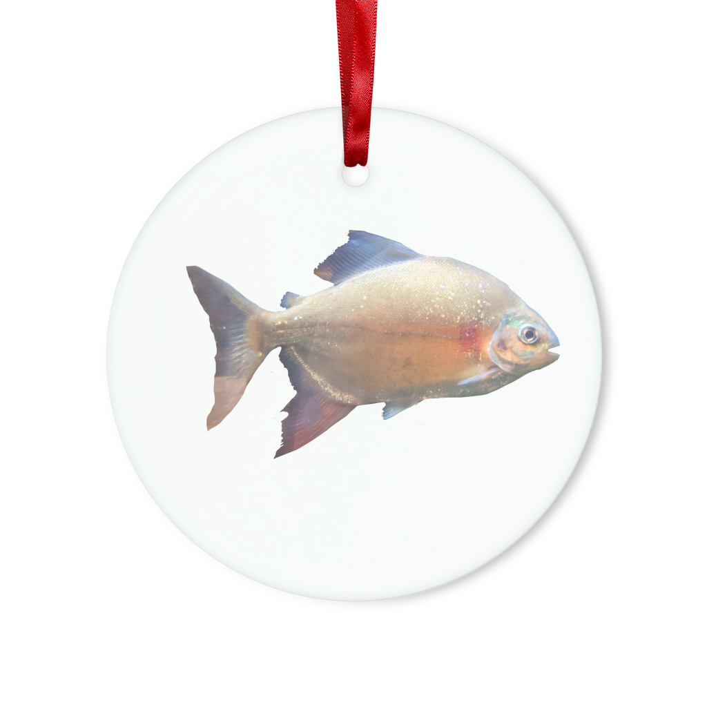 Colorful Fish Glass Hanging Ornament with red ribbon and gold string, available in round and heart shapes, beautifully packaged.