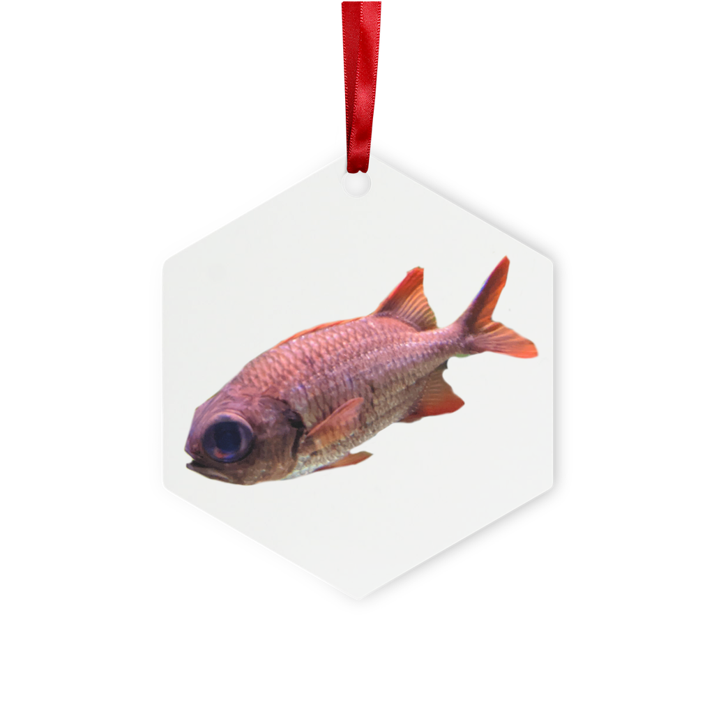 Colorful Fish Metal Hanging Ornament in hexagon and star shapes, featuring a red ribbon and gold string, beautifully packaged in a white box.