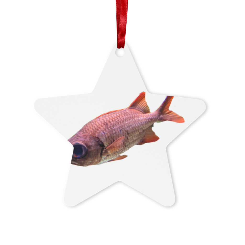 Colorful Fish Metal Hanging Ornament in hexagon and star shapes, featuring a red ribbon and gold string, beautifully packaged in a white box.