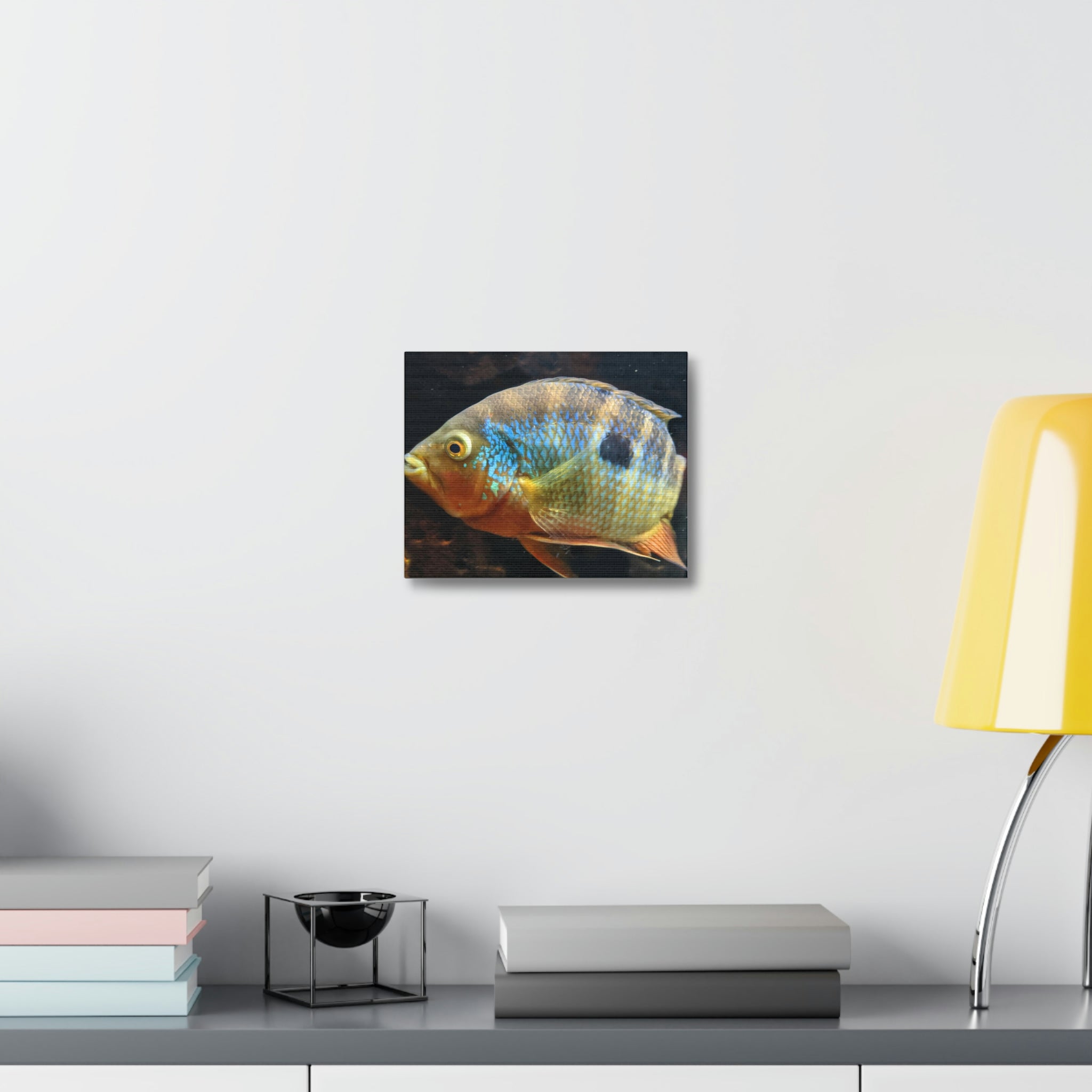Colorful Fish Stretched Canvas artwork featuring vibrant marine life on a premium canvas, stretched over a wooden frame.