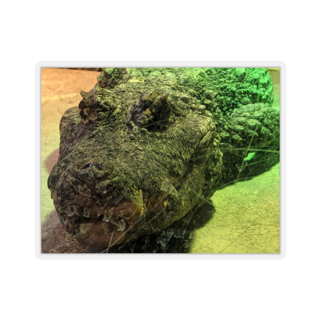 Crocodile Kiss-Cut Stickers showcasing various custom shapes on a white background, ideal for indoor use.