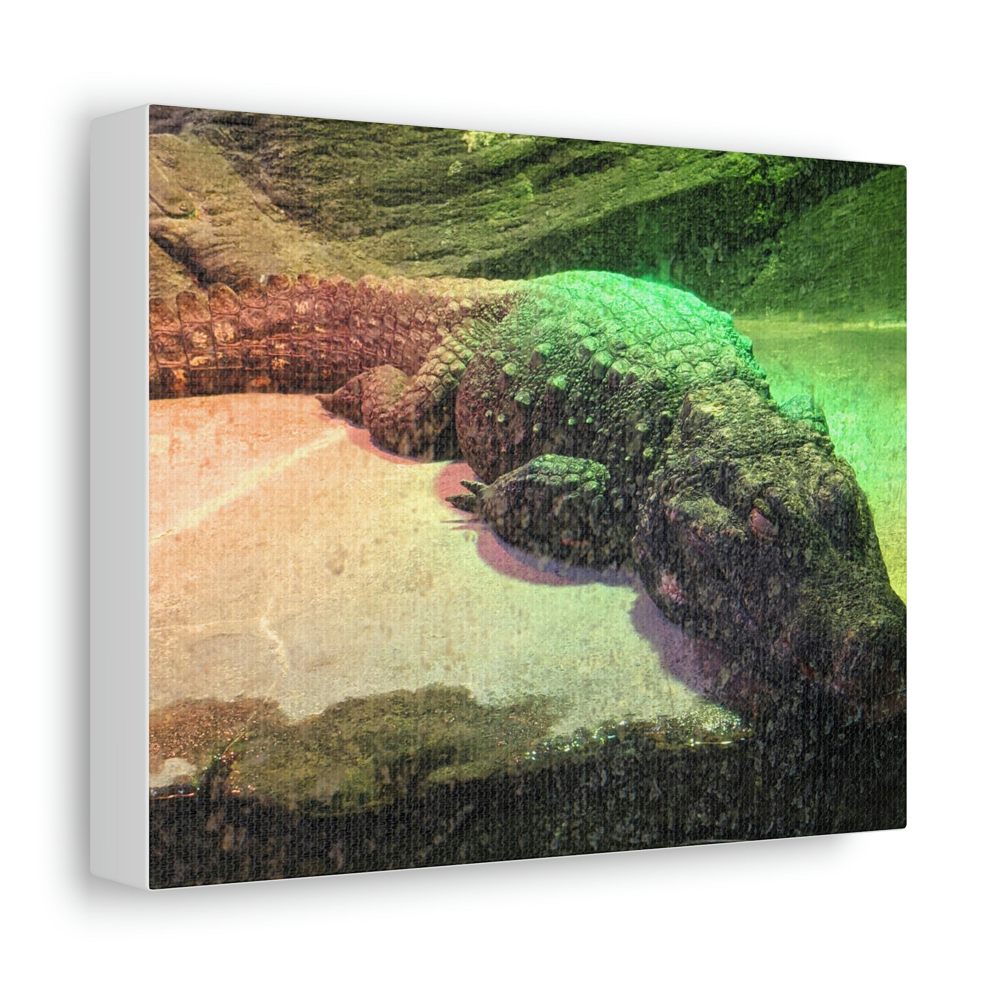 A vibrant Crocodile Stretched Canvas artwork featuring detailed crocodile imagery on a premium canvas, framed with a sturdy wooden structure.