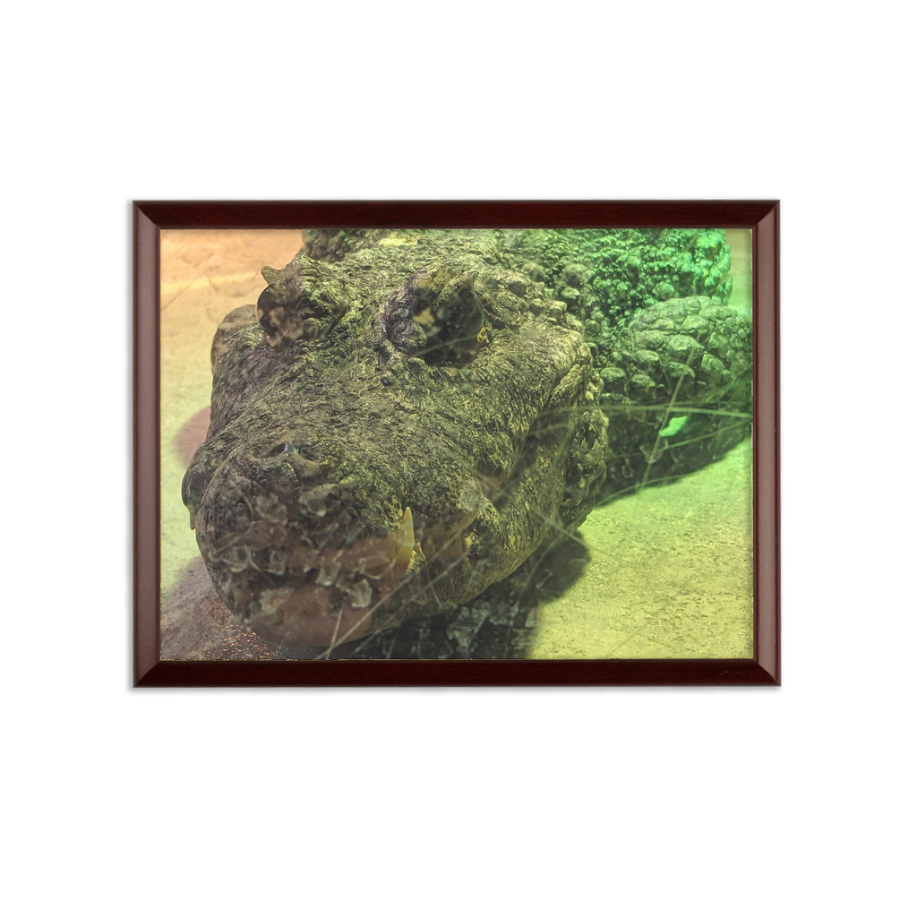 Crocodiles Sublimation Wall Plaque with brown wooden frame and white printable surface, showcasing customizable design options.