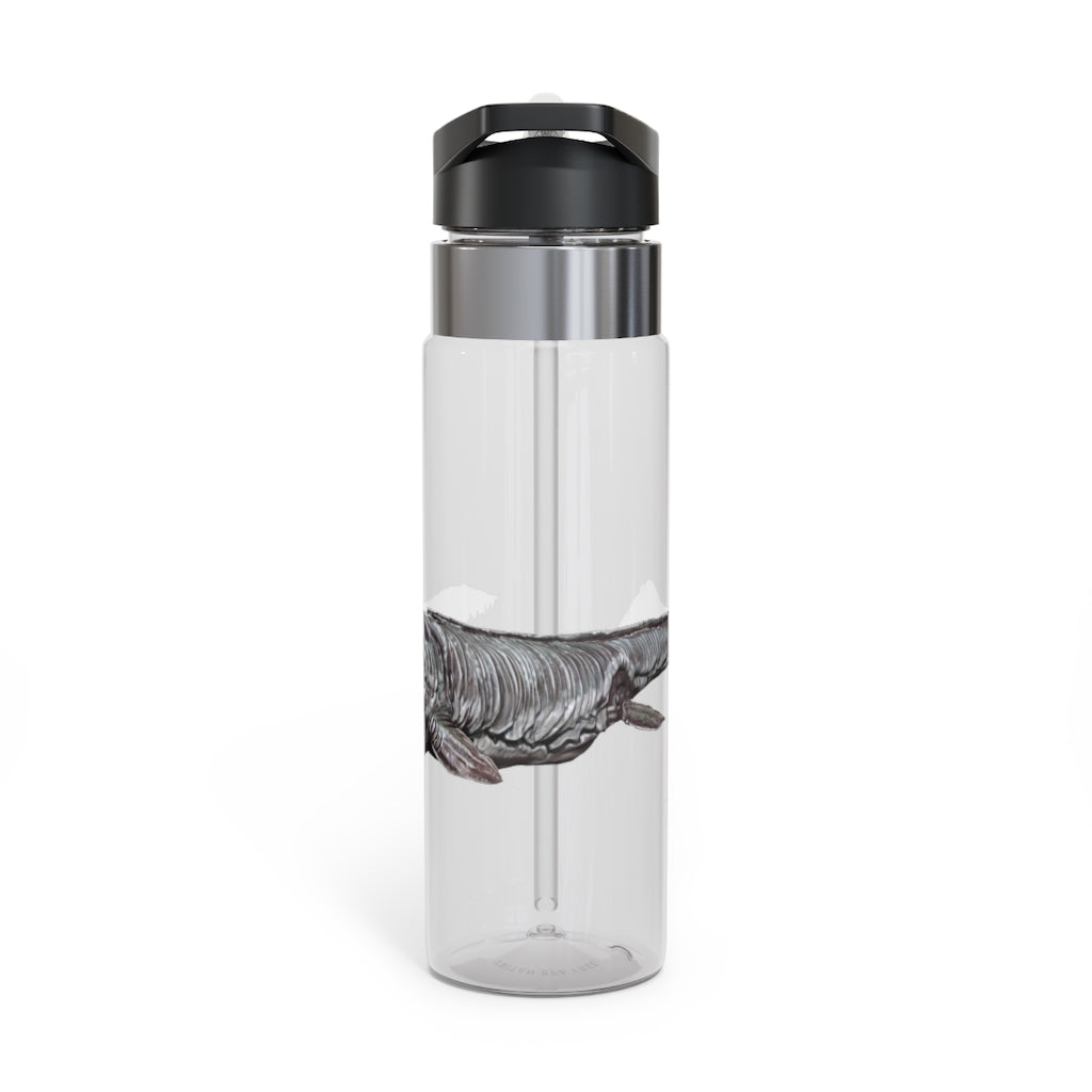 Dino Sea Creature Kensington Tritan™ Sport Bottle, 20oz, featuring a colorful dinosaur design and a carabiner hook.