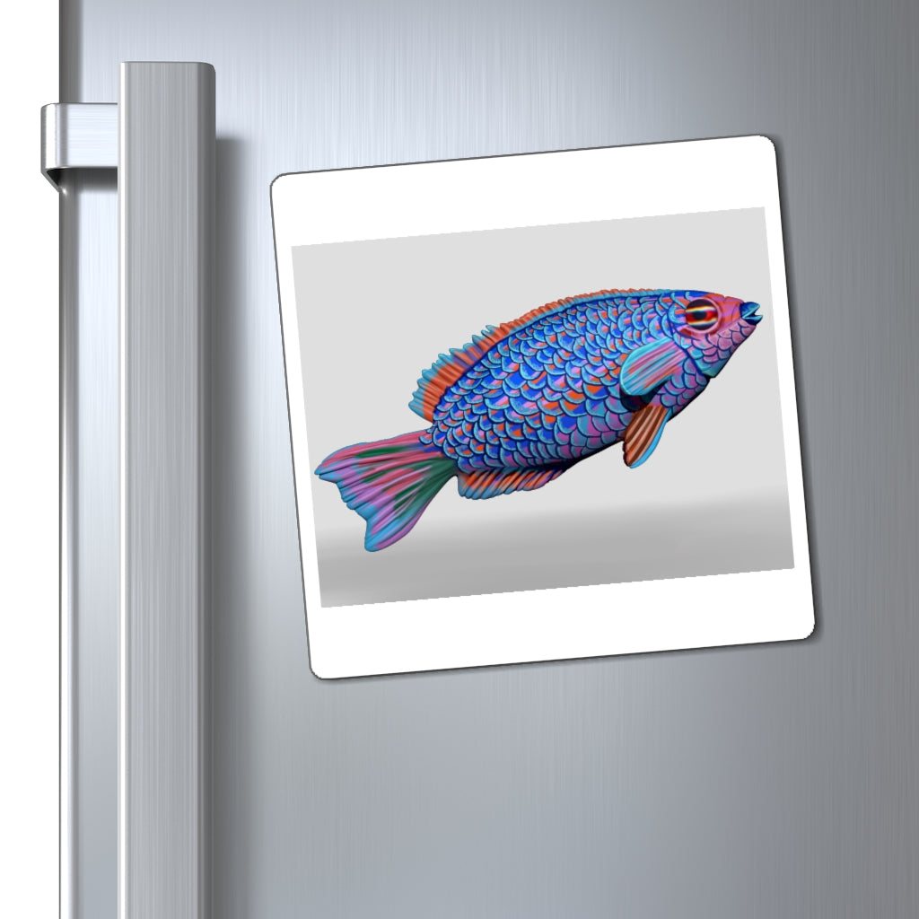 A set of Fish Concept Magnets showcasing various sizes and a black backing, ideal for displaying messages on metallic surfaces.