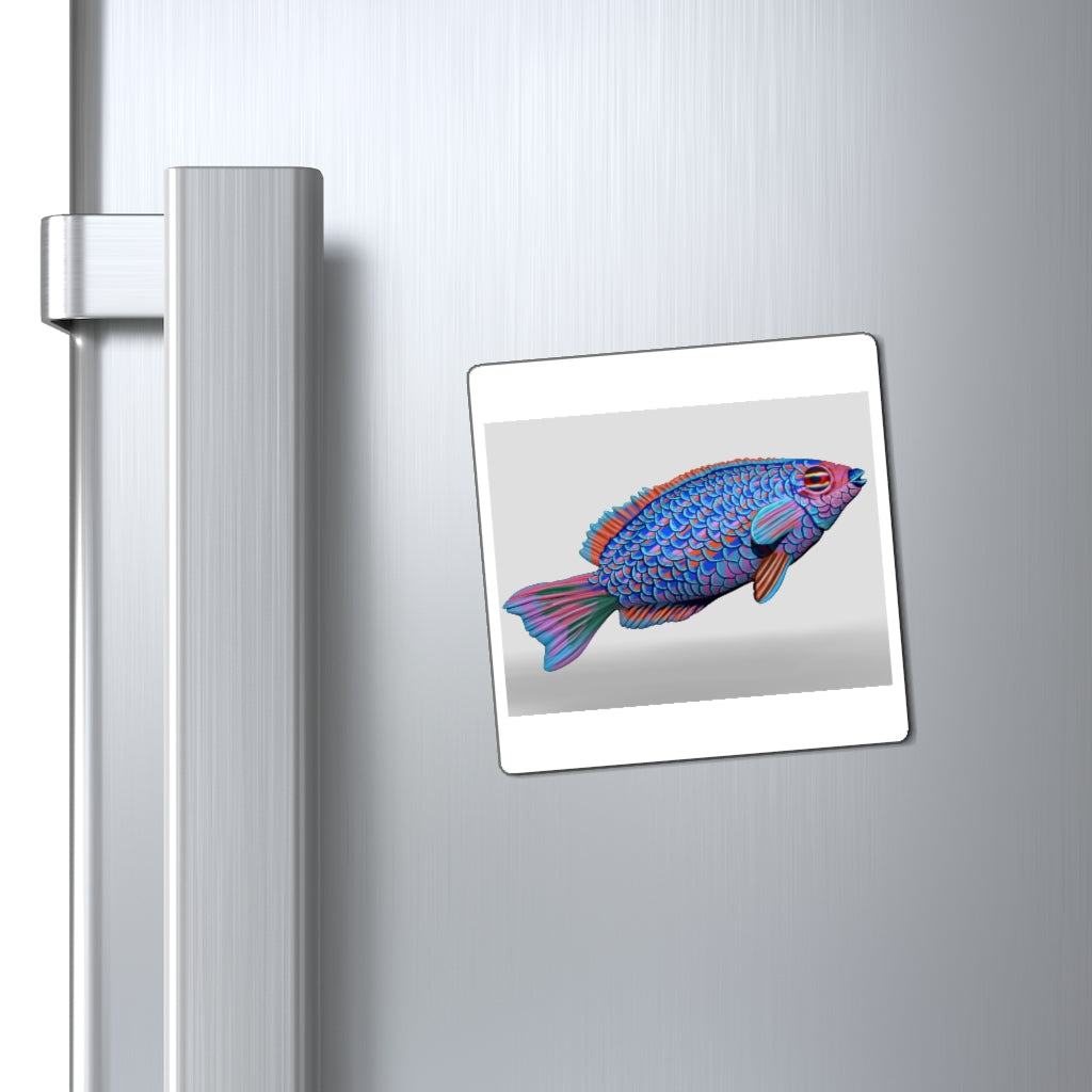 A set of Fish Concept Magnets showcasing various sizes and a black backing, ideal for displaying messages on metallic surfaces.