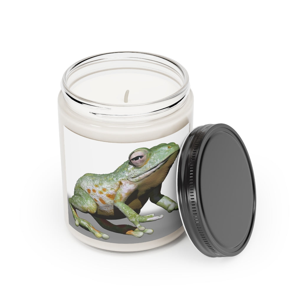 A 9oz Frog Scented Candle in a glass container, featuring a permanent adhesive label, showcasing its warm Cinnamon Stick and Vanilla fragrances.