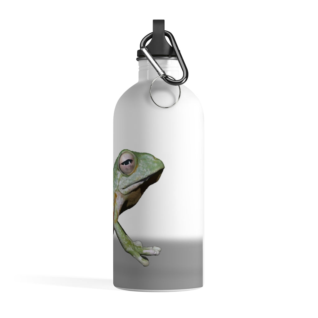 Frog Stainless Steel Water Bottle with a vibrant design, featuring a plastic screw top and carabiner, ideal for hydration on the go.