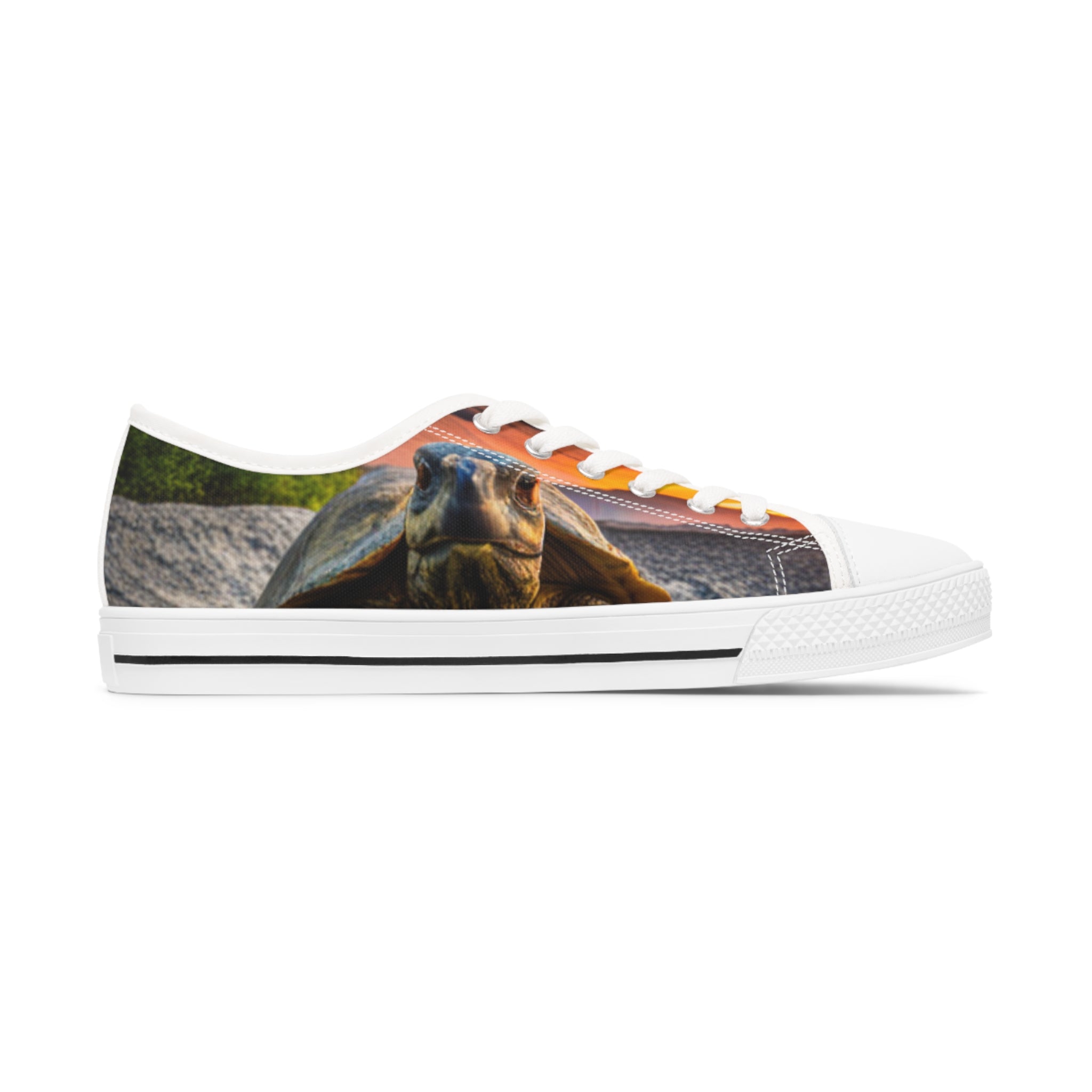 Galápagos Tortoise Women's Low Top Sneakers featuring breathable canvas, memory foam insoles, and customizable designs in black and white.