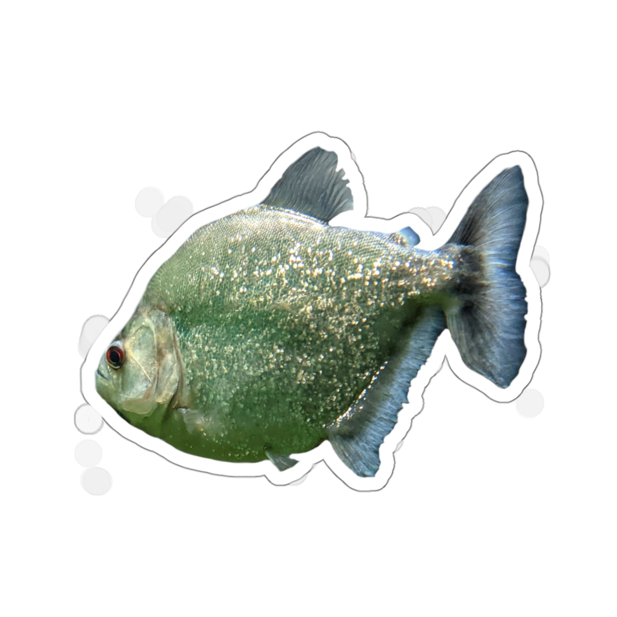 Glitter Green Fish Kiss-Cut Stickers showcasing vibrant colors and unique shapes, perfect for creative projects.