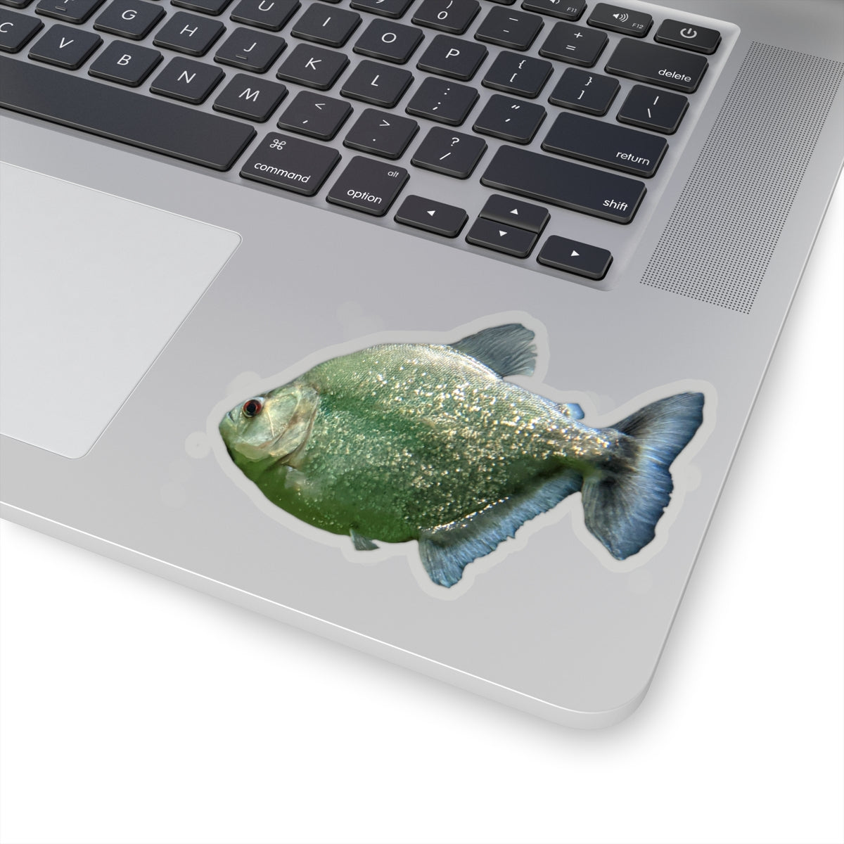 Glitter Green Fish Kiss-Cut Stickers showcasing vibrant colors and unique shapes, perfect for creative projects.