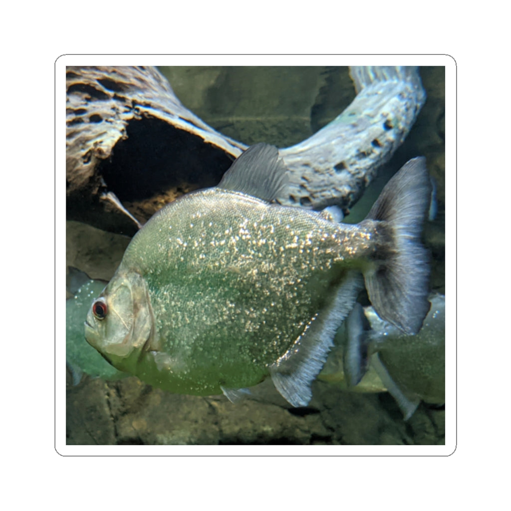 Glitter Green Fish Kiss-Cut Stickers showcasing vibrant colors and unique fish designs, perfect for creative projects.