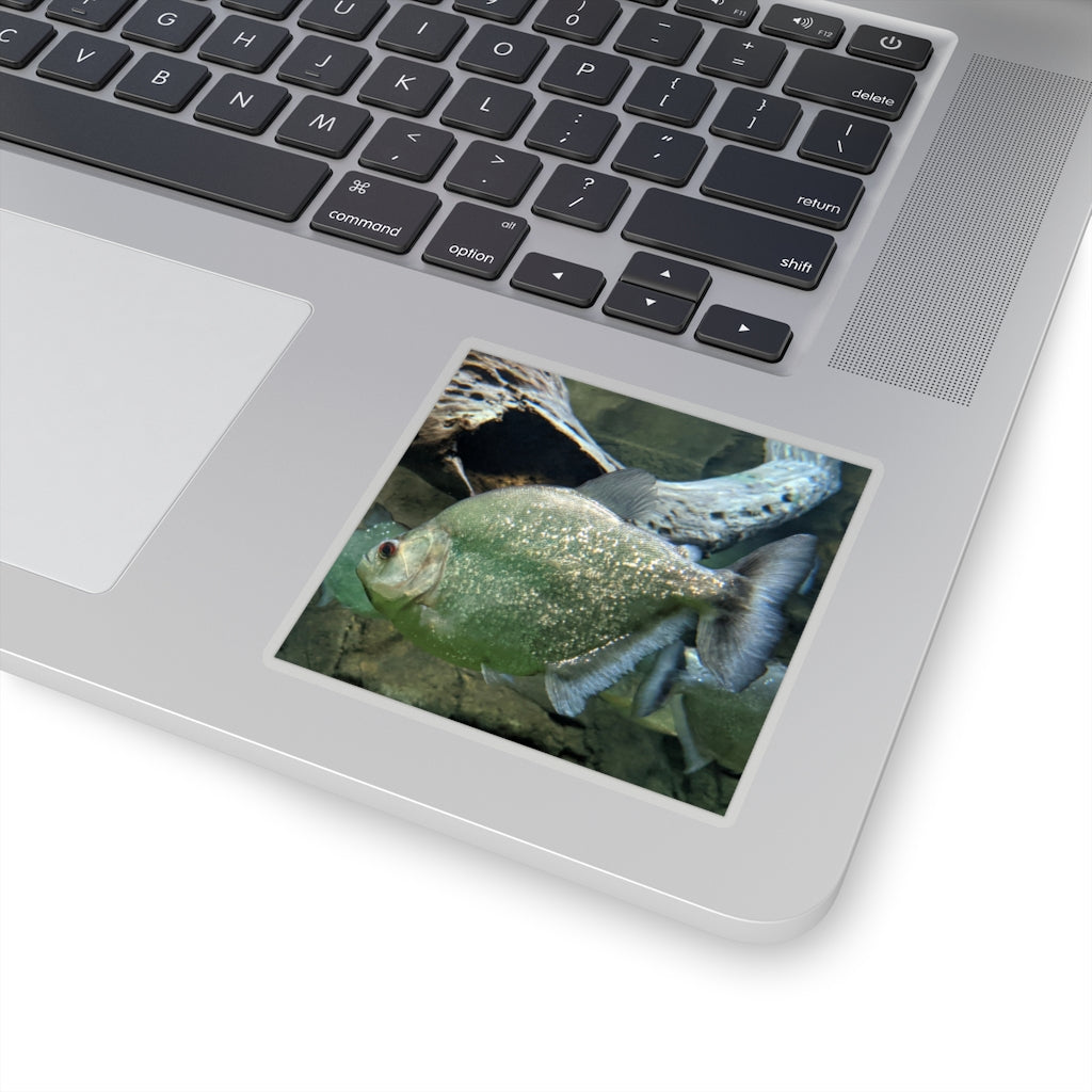 Glitter Green Fish Kiss-Cut Stickers showcasing vibrant colors and unique fish designs, perfect for creative projects.