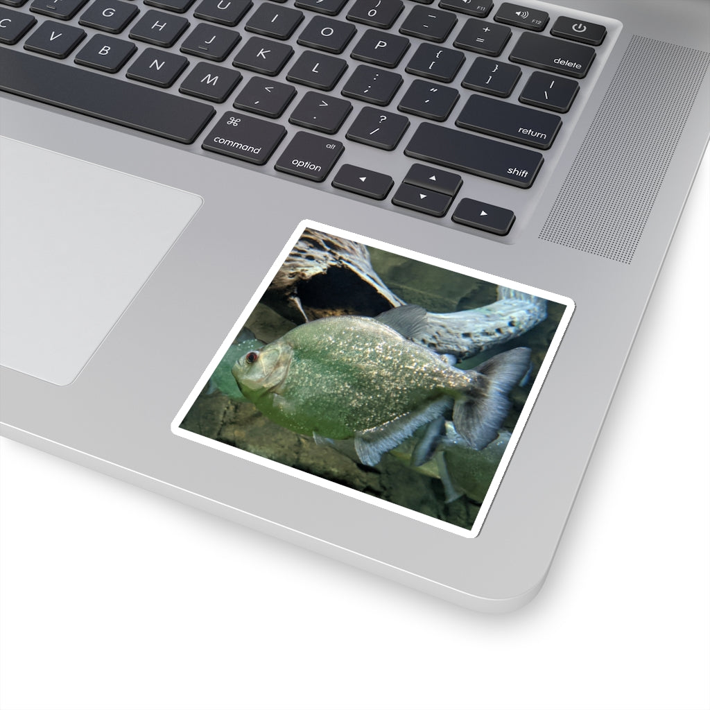 Glitter Green Fish Kiss-Cut Stickers showcasing vibrant colors and unique fish designs, perfect for creative projects.