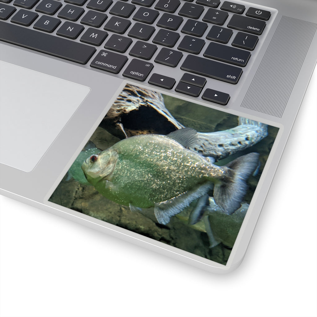 Glitter Green Fish Kiss-Cut Stickers showcasing vibrant colors and unique fish designs, perfect for creative projects.