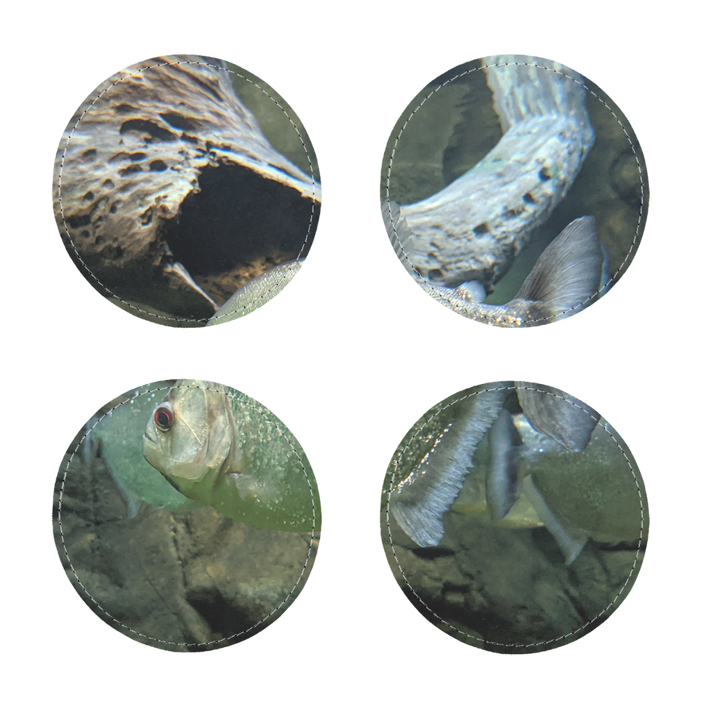 Pack of four Glitter Green Fish Sublimation Coasters made of PU leather, featuring a stylish design with white stitching.