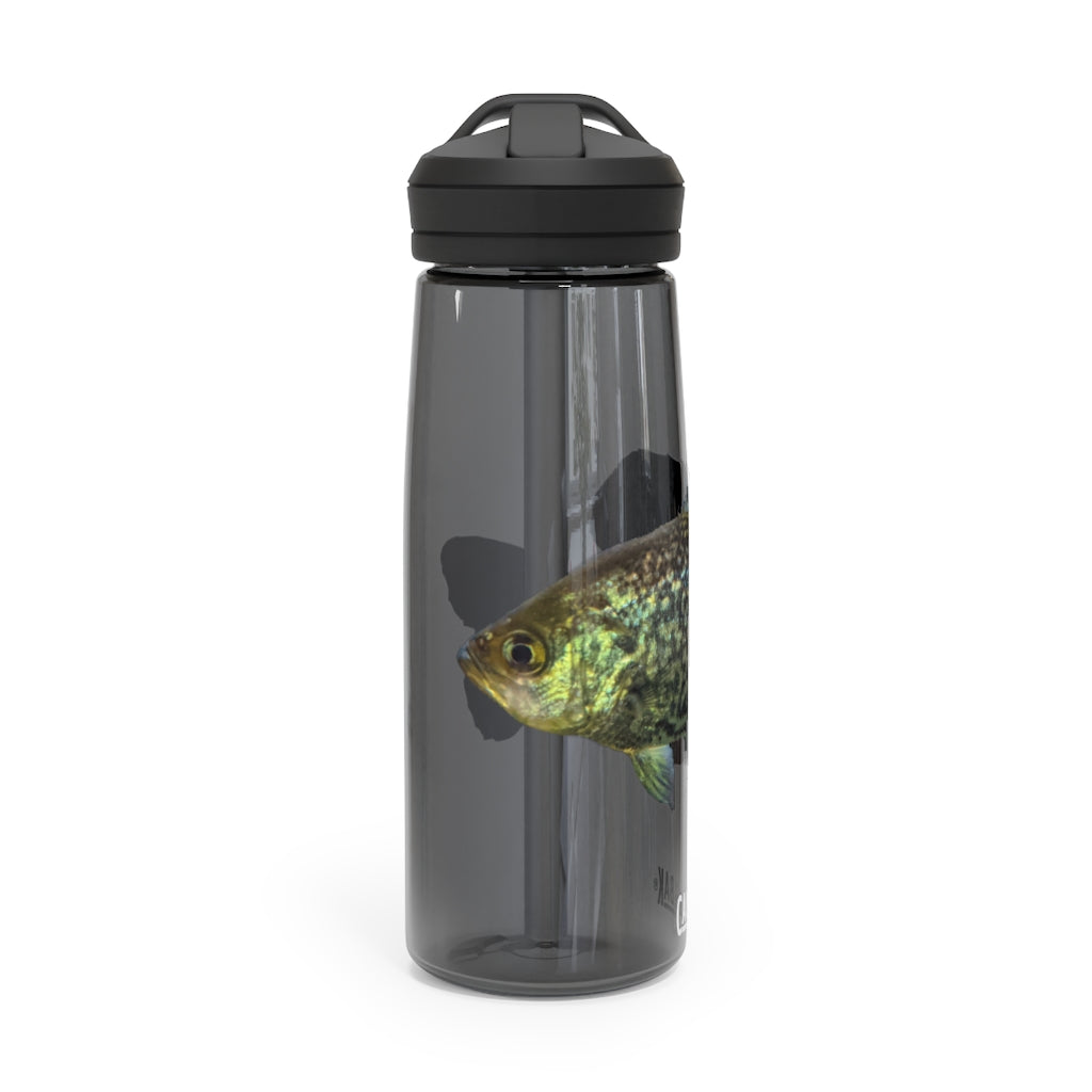 Golden Fish CamelBak Eddy® Water Bottle in vibrant color, showcasing its robust design and spill-proof biting valve.