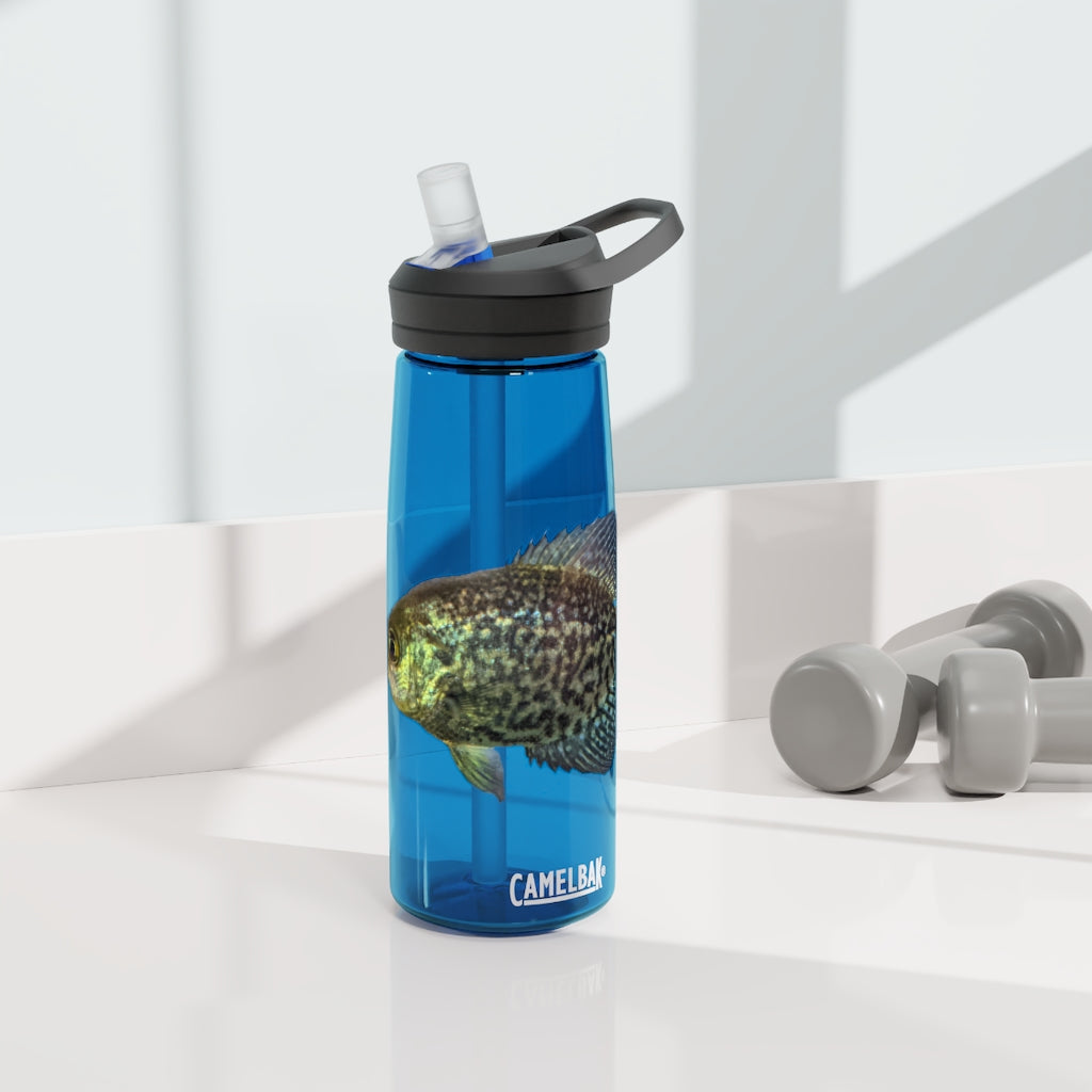 Golden Fish CamelBak Eddy® Water Bottle in vibrant color, showcasing its robust design and spill-proof biting valve.