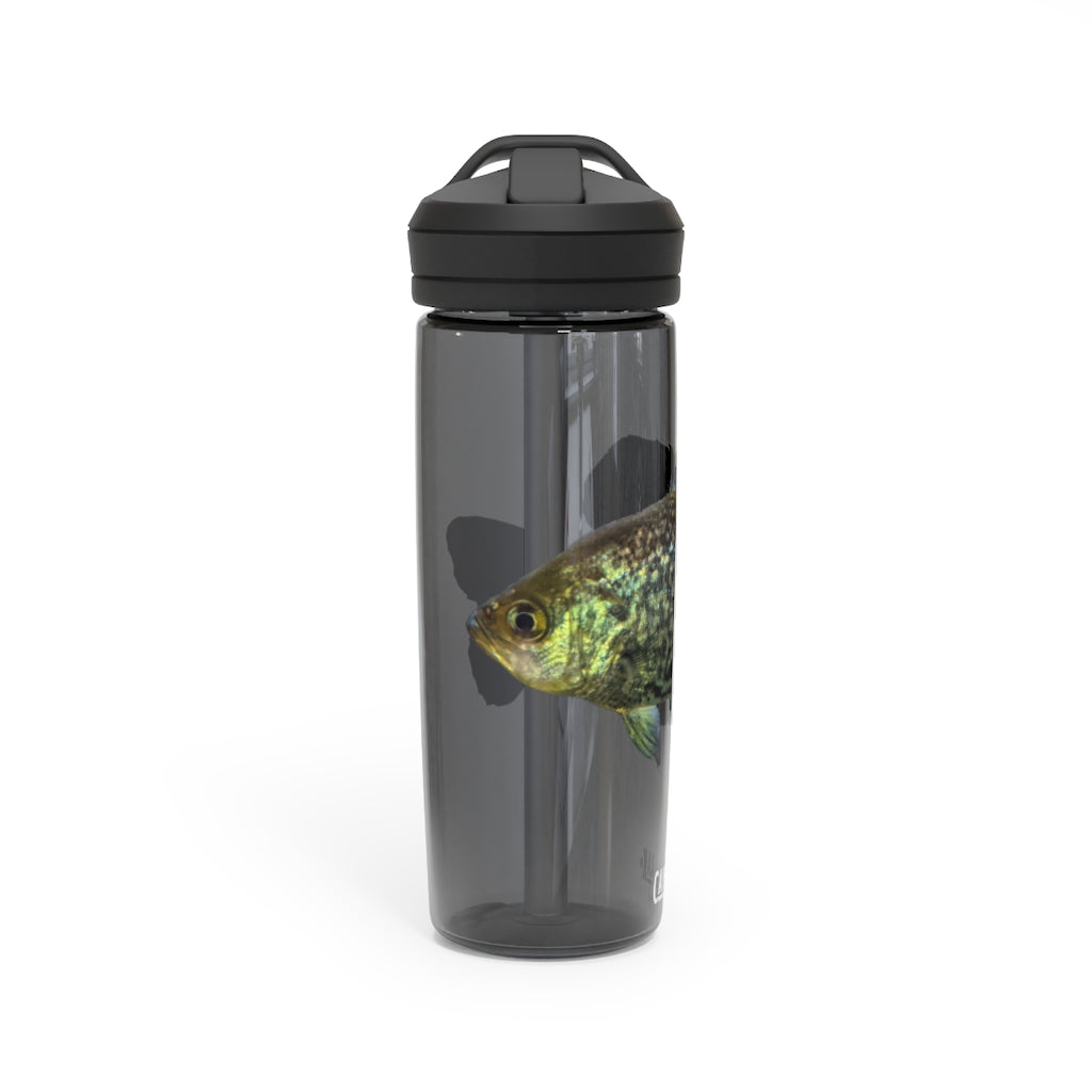 Golden Fish CamelBak Eddy® Water Bottle in vibrant color, showcasing its robust design and spill-proof biting valve.