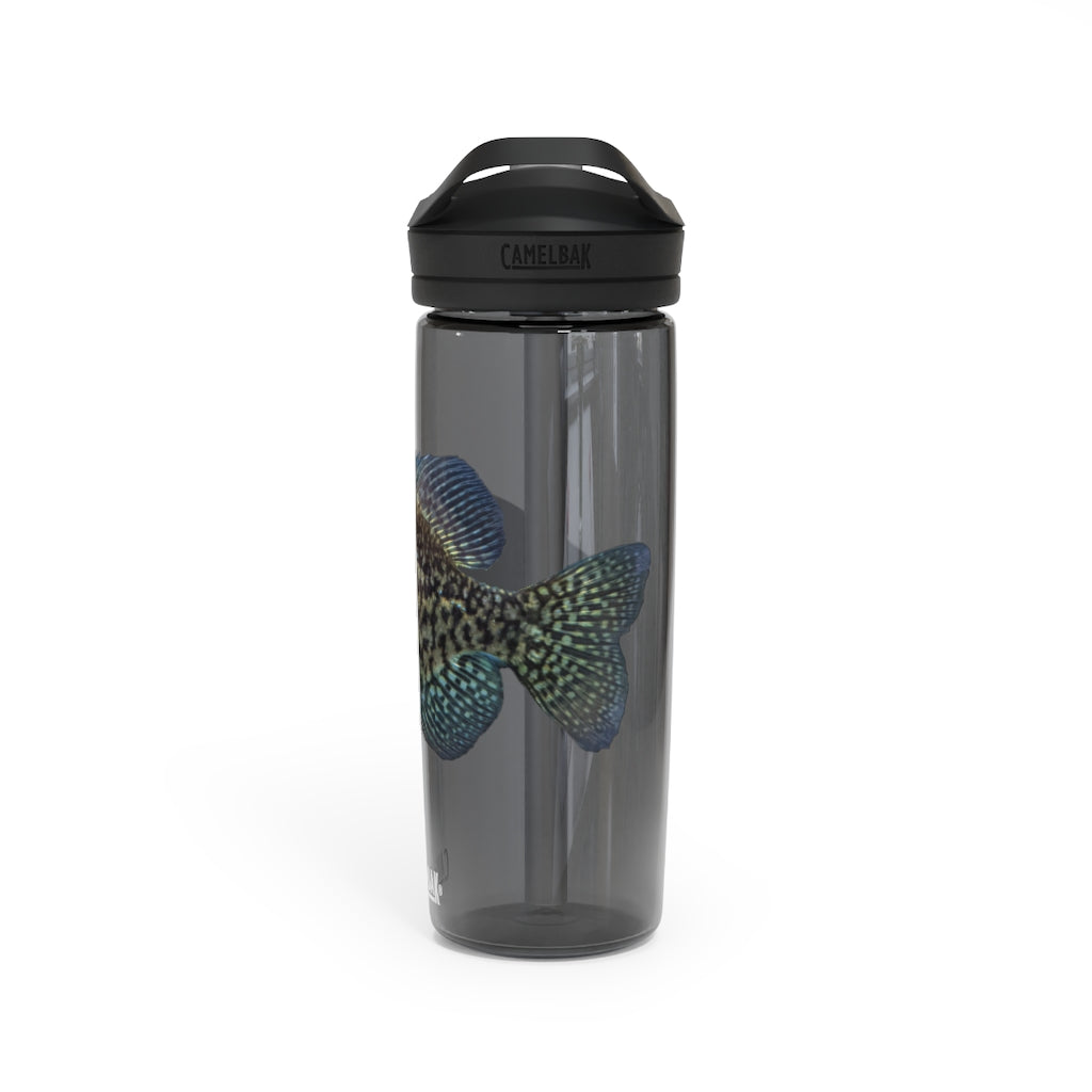 Golden Fish CamelBak Eddy® Water Bottle in vibrant color, showcasing its robust design and spill-proof biting valve.