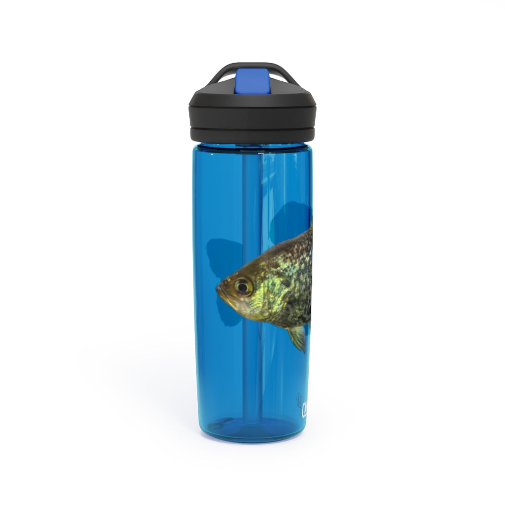 Golden Fish CamelBak Eddy® Water Bottle in vibrant color, showcasing its robust design and spill-proof biting valve.