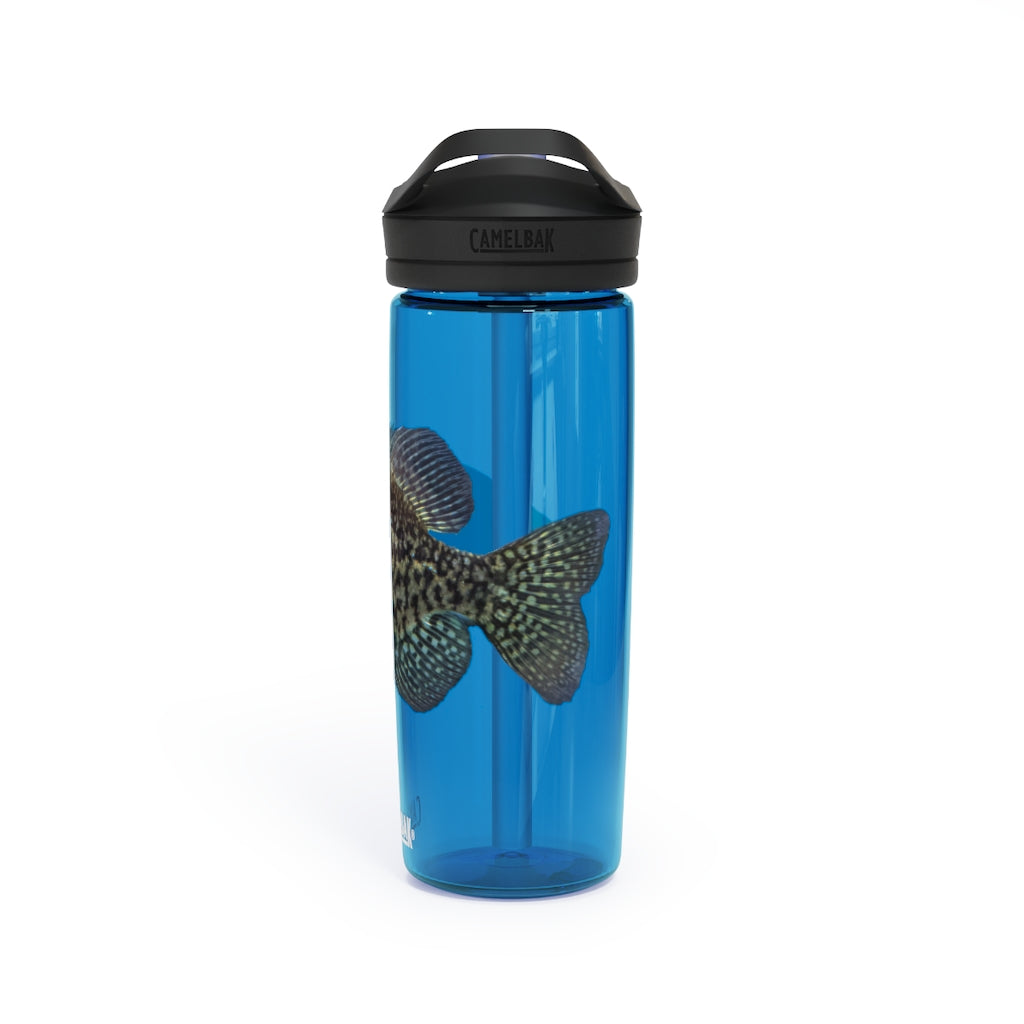 Golden Fish CamelBak Eddy® Water Bottle in vibrant color, showcasing its robust design and spill-proof biting valve.