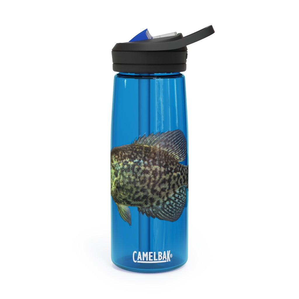 Golden Fish CamelBak Eddy® Water Bottle in vibrant color, showcasing its robust design and spill-proof biting valve.
