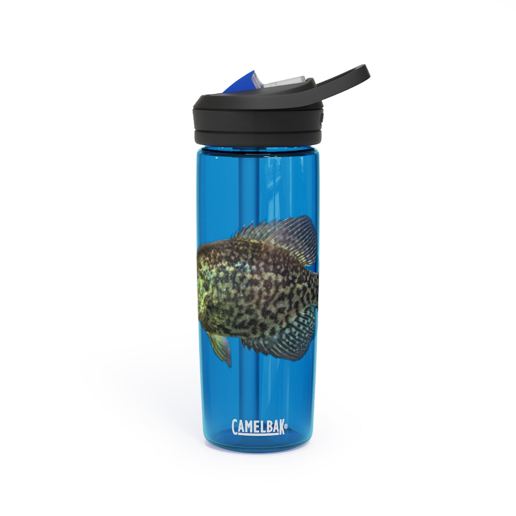 Golden Fish CamelBak Eddy® Water Bottle in vibrant color, showcasing its robust design and spill-proof biting valve.
