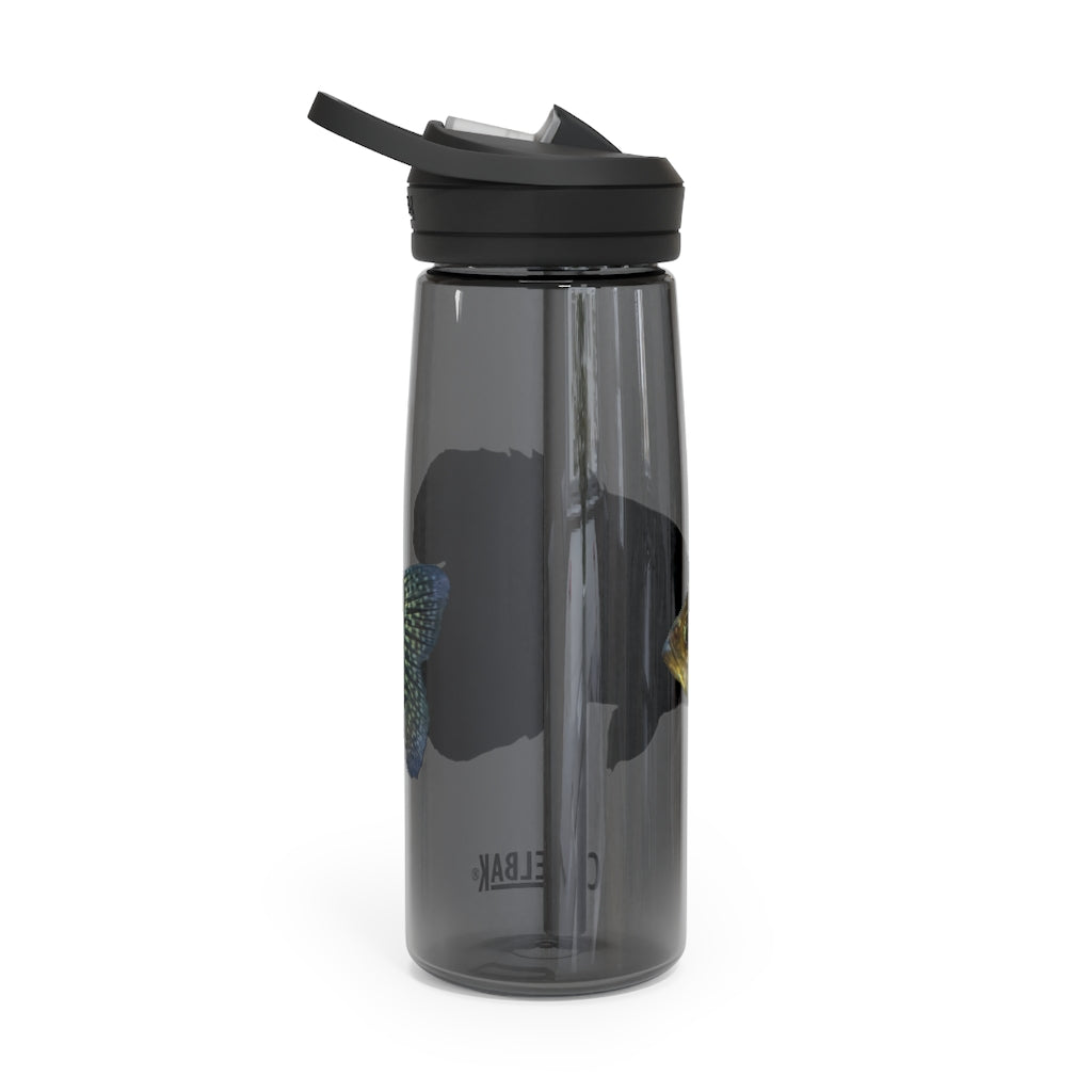 Golden Fish CamelBak Eddy® Water Bottle in vibrant color, showcasing its robust design and spill-proof biting valve.