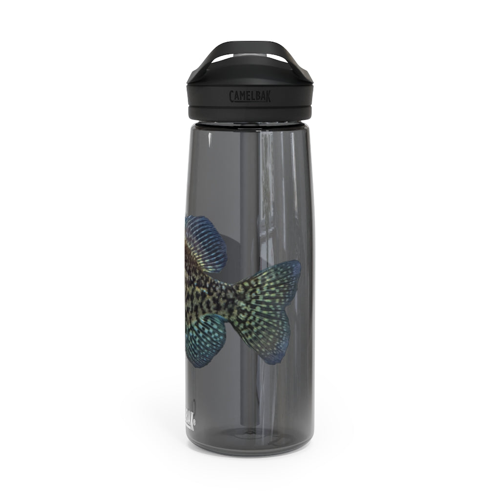 Golden Fish CamelBak Eddy® Water Bottle in vibrant color, showcasing its robust design and spill-proof biting valve.