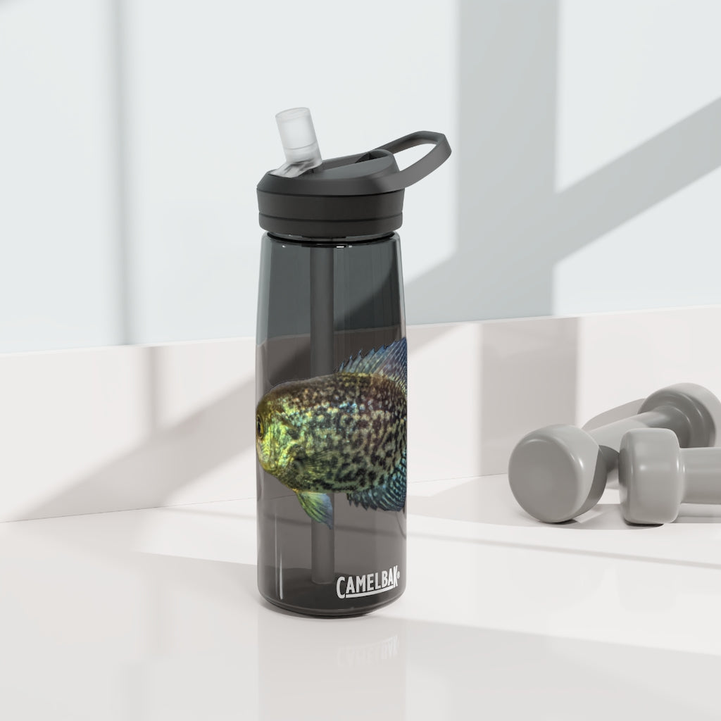 Golden Fish CamelBak Eddy® Water Bottle in vibrant color, showcasing its robust design and spill-proof biting valve.