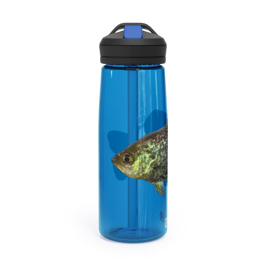 Golden Fish CamelBak Eddy® Water Bottle in vibrant color, showcasing its robust design and spill-proof biting valve.
