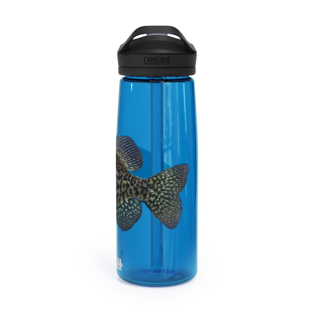 Golden Fish CamelBak Eddy® Water Bottle in vibrant color, showcasing its robust design and spill-proof biting valve.