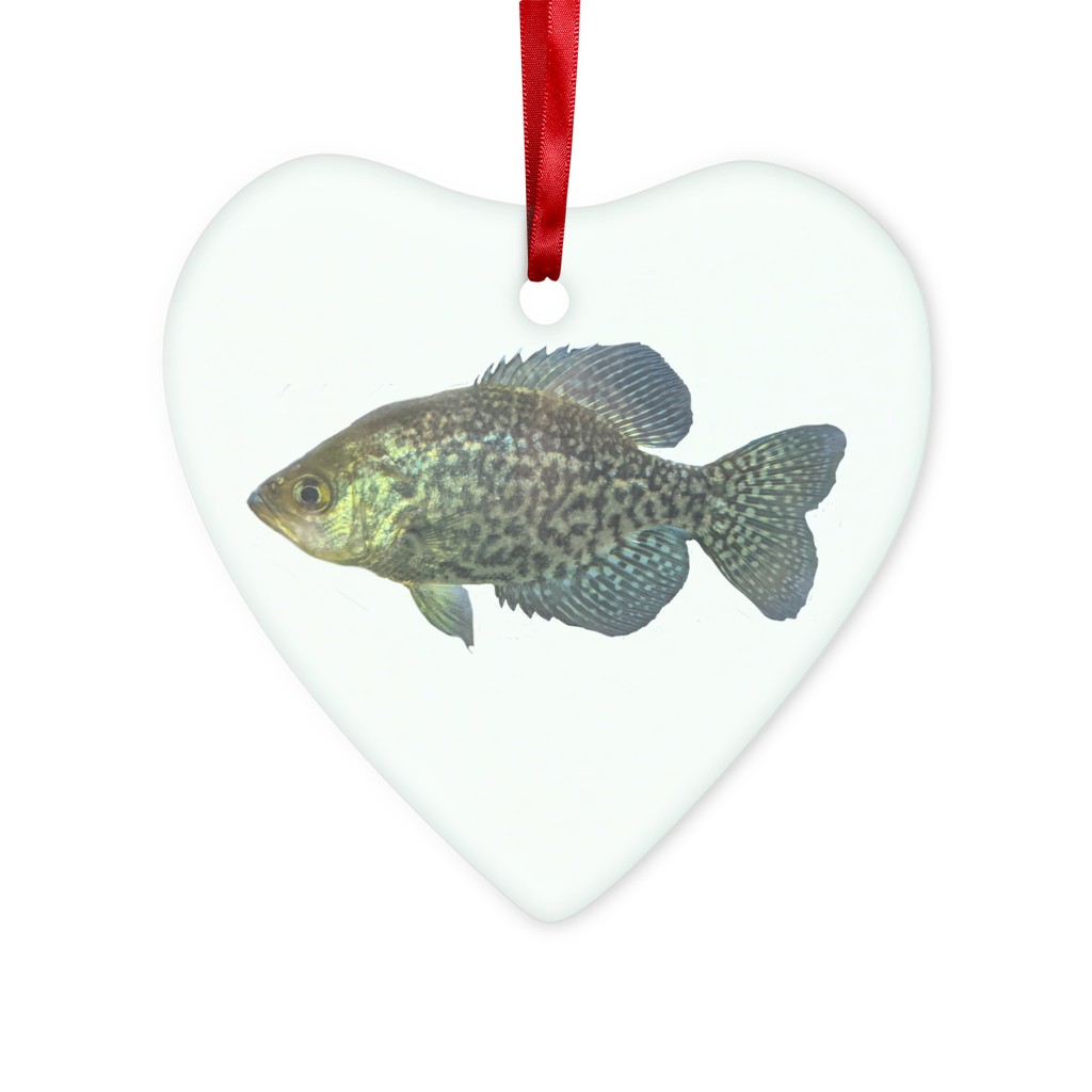 Golden Fish Glass Hanging Ornament with red ribbon and gold string, available in round and heart shapes, elegantly packaged in a white box.
