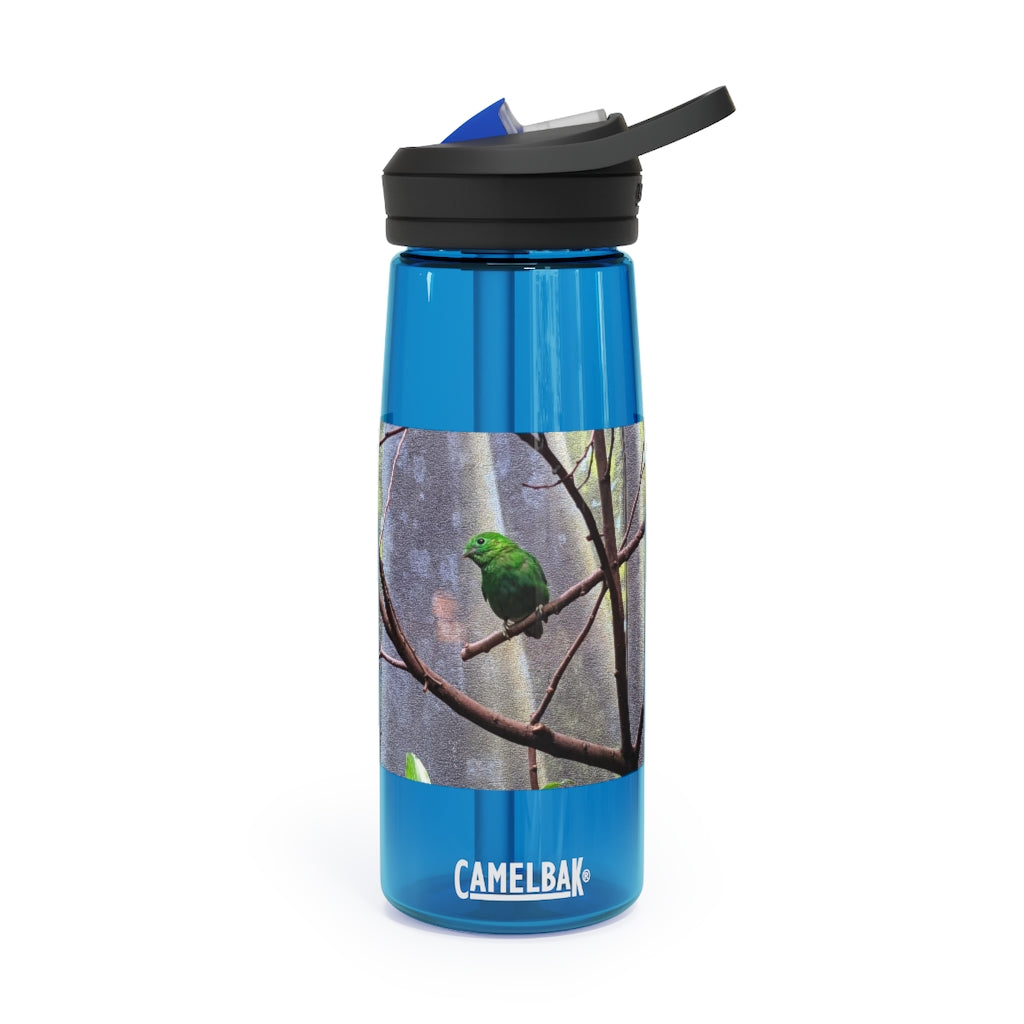 Green Bird CamelBak Eddy® Water Bottle in vibrant green color, available in 20oz and 25oz sizes, featuring a spill-proof biting valve and easy-carry handle.