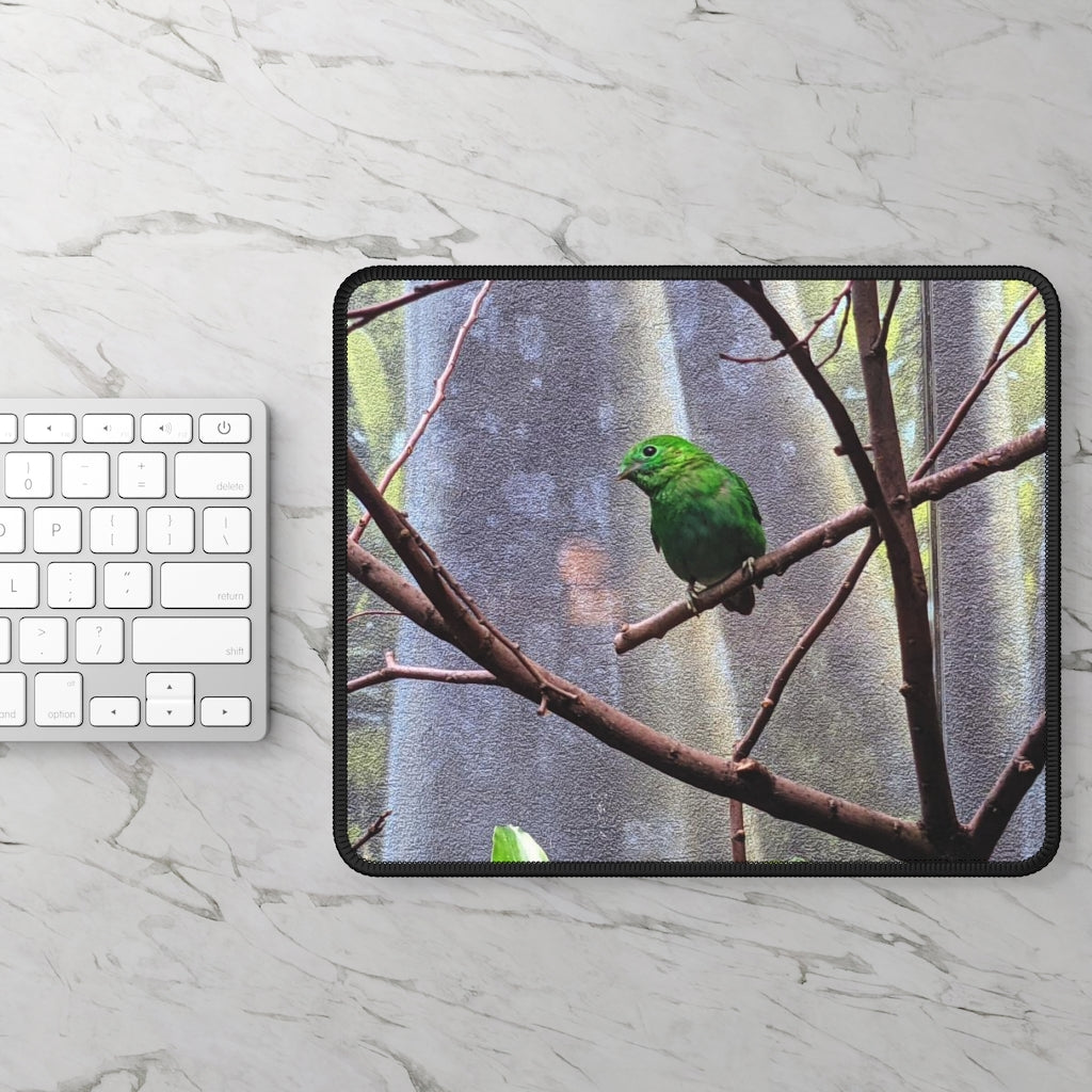 Green Bird Gaming Mouse Pad featuring vibrant designs and stitched edges, ideal for gaming and office use.