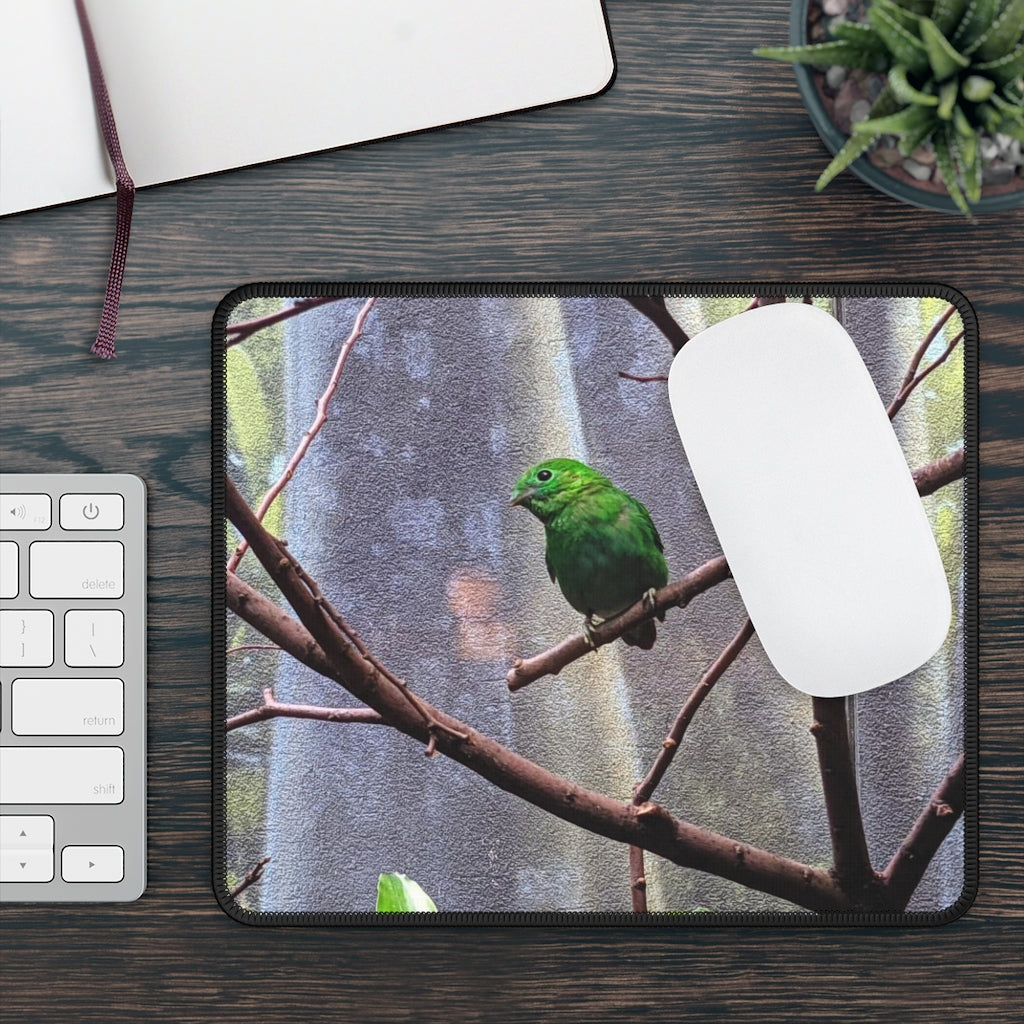 Green Bird Gaming Mouse Pad featuring vibrant designs and stitched edges, ideal for gaming and office use.