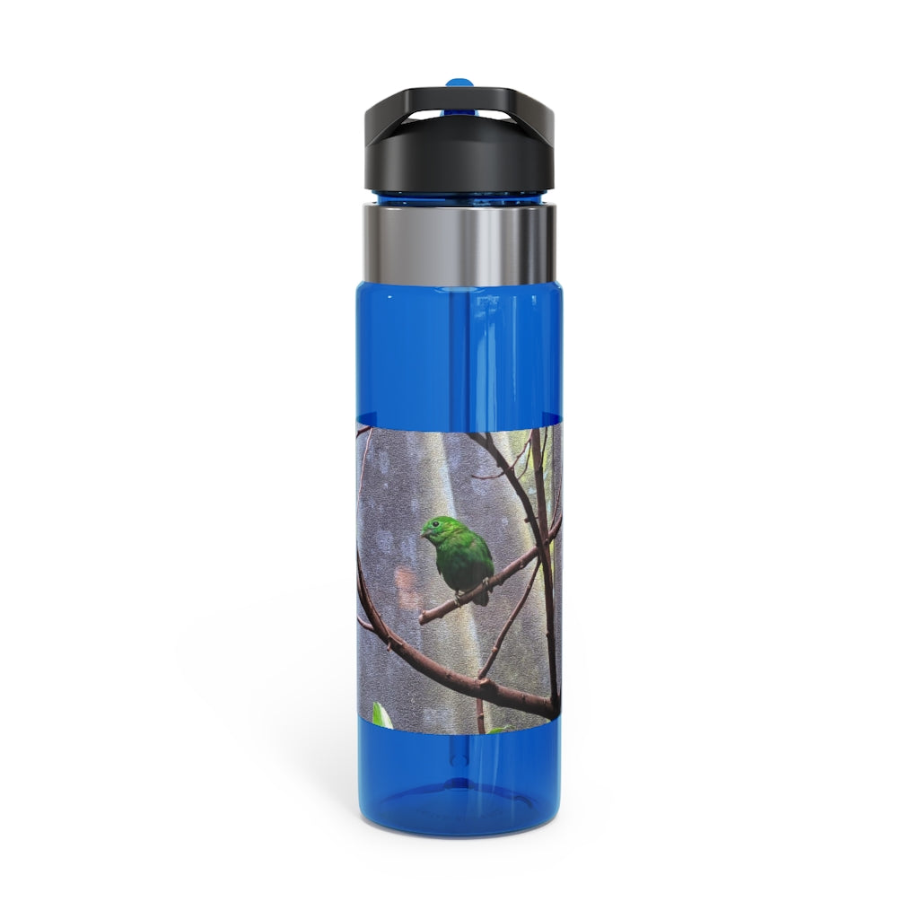 Green Bird Kensington Tritan™ Sport Bottle in vibrant green color, featuring a screw-on lid, straw, and carabiner hook for easy attachment.