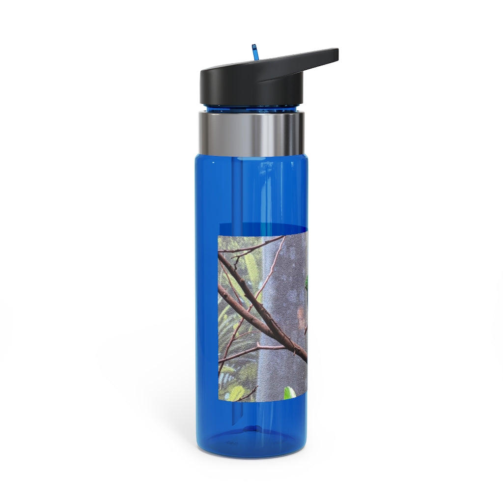 Green Bird Kensington Tritan™ Sport Bottle in vibrant green color, featuring a screw-on lid, straw, and carabiner hook for easy attachment.