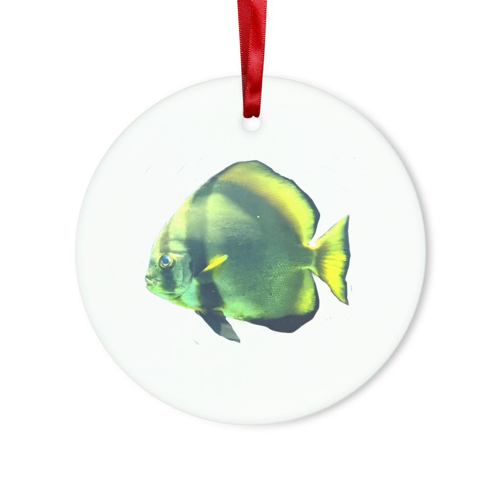 A beautiful green fish glass hanging ornament with a red ribbon and gold string, perfect for Christmas decorations.