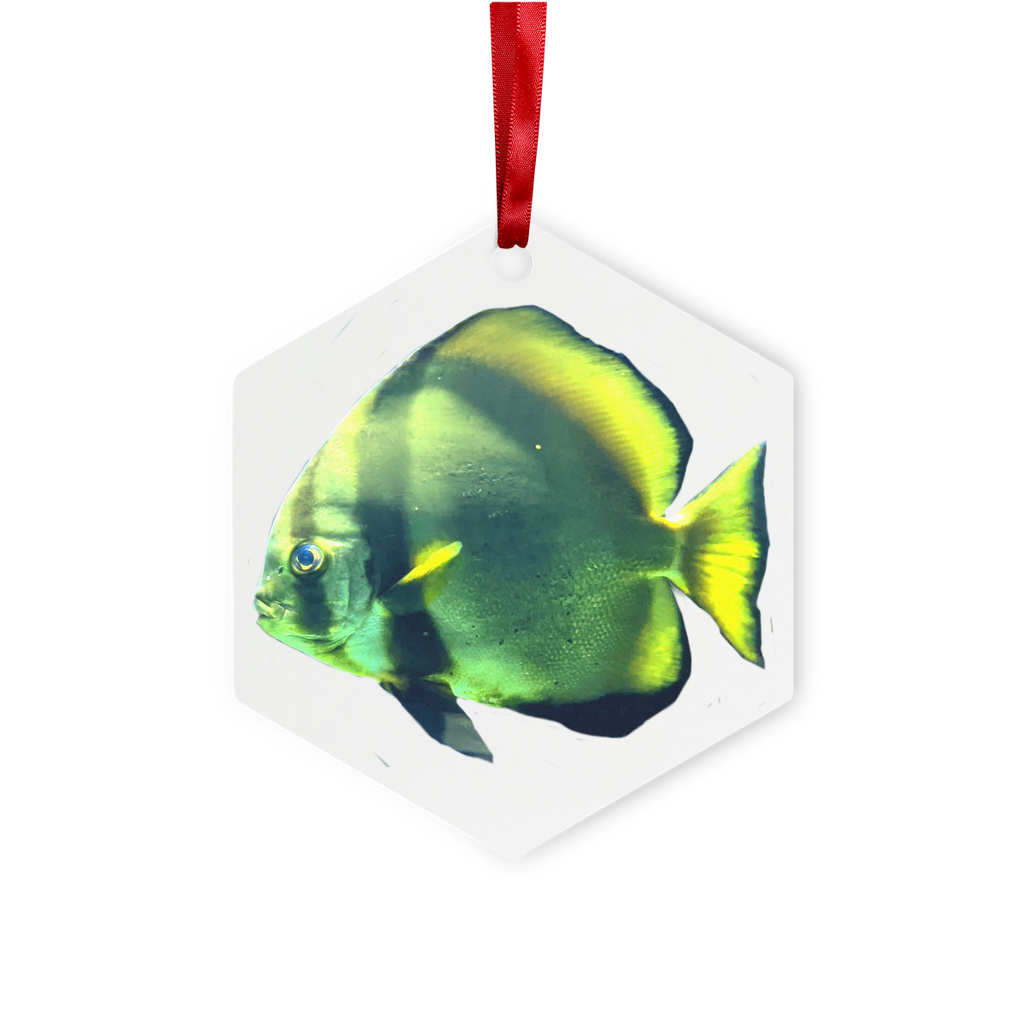 Green Fish Metal Hanging Ornament in hexagon and star shapes, featuring a gloss white finish and red ribbon for hanging.